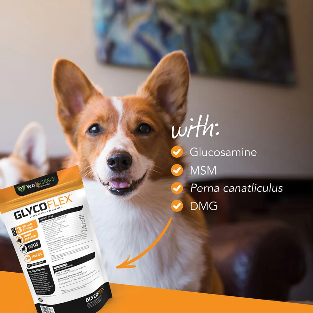 Glyco Flex 3 Joint Support for Small Dogs, 60 Bite-Sized Chews - Image 4
