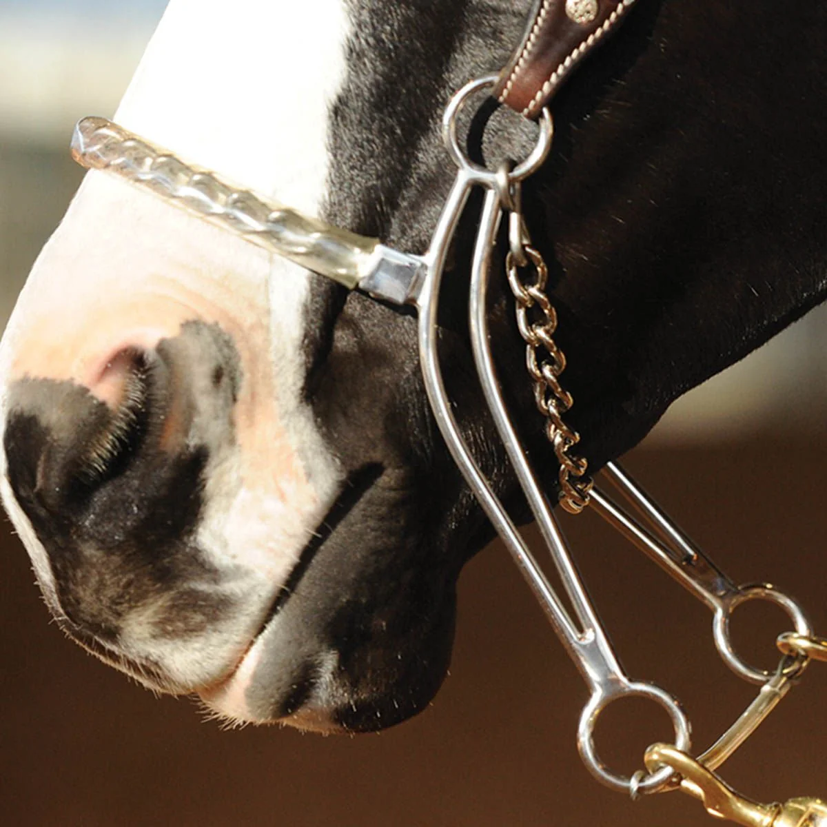 Carol Goostree CG Hackamore - Image 2