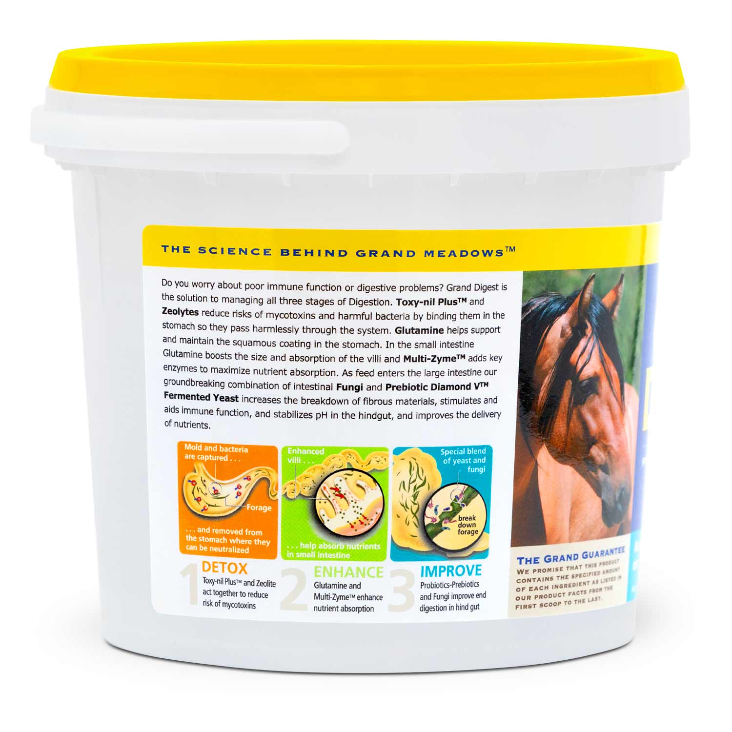 Grand Digest Gut Supplement for Horses - Image 2