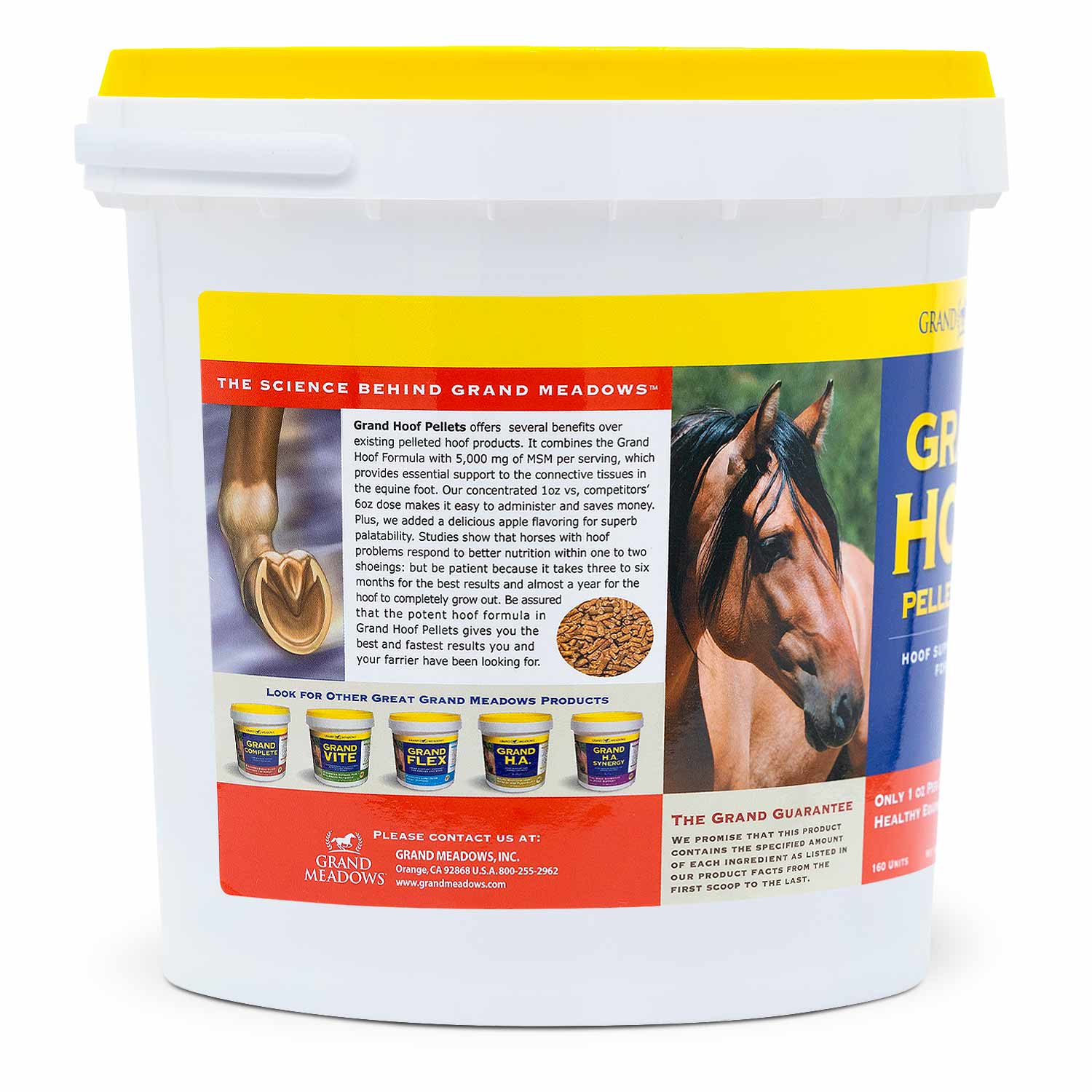 Grand Hoof Pellets with MSM Supplement for Horses - Image 5