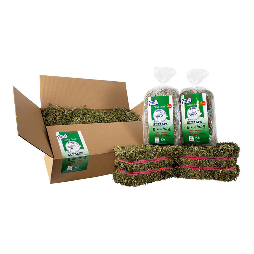 Grandpa’s Best Alfalfa Hay – Boxed or Baled, Premium Small Animal Hay - Image 4