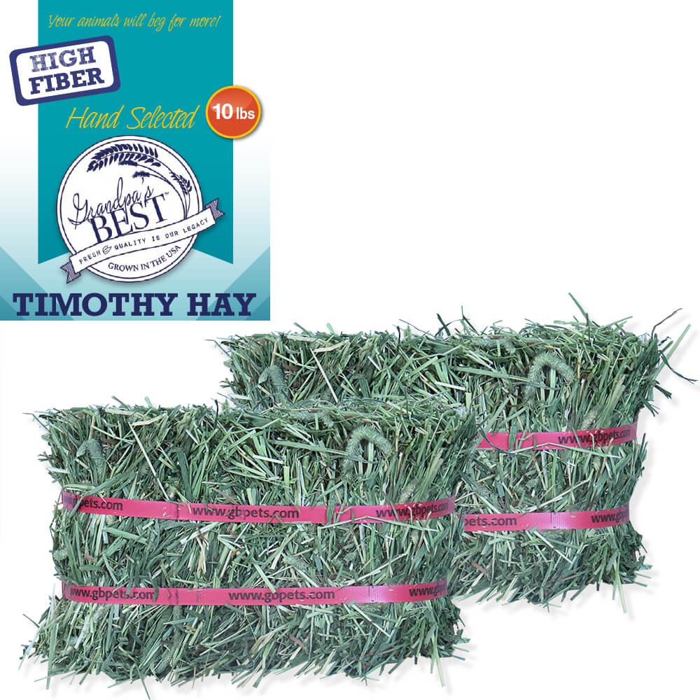 Grandpa’s Best Timothy Hay Loose or Bale – Premium High Fiber Small Pet Hay - Image 13