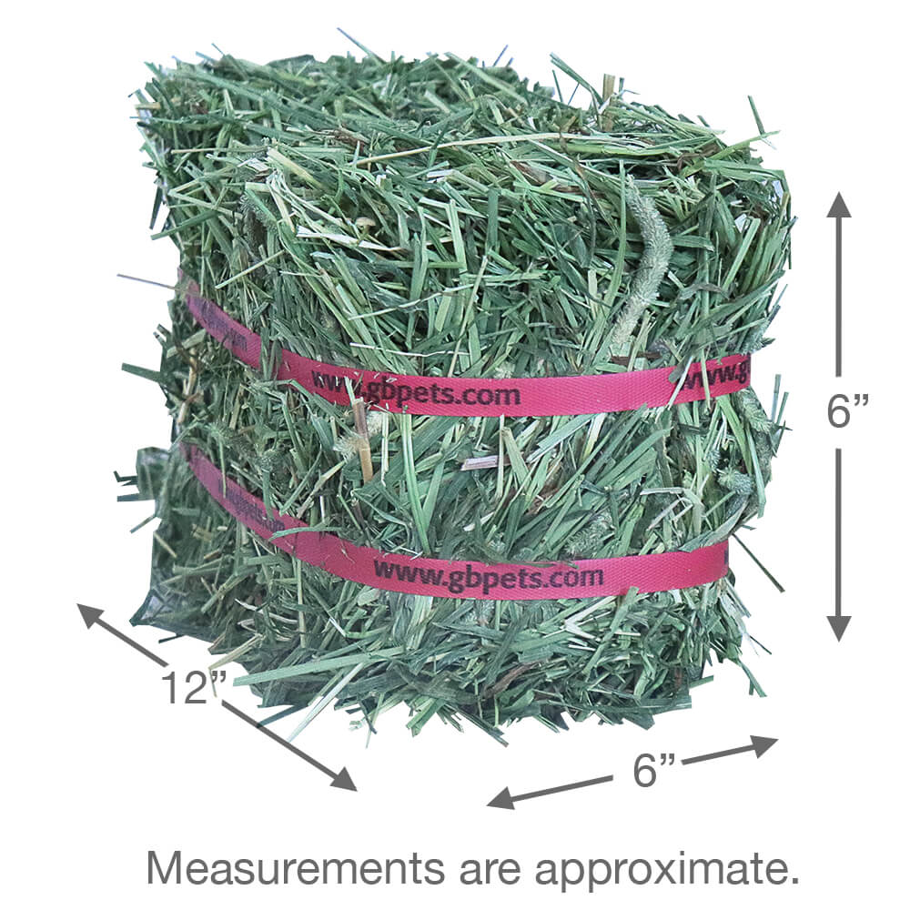 Grandpa’s Best Timothy Hay Loose or Bale – Premium High Fiber Small Pet Hay - Image 7