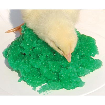 GroGel Plus with DPP Poultry Hatchling Supplement - Image 3