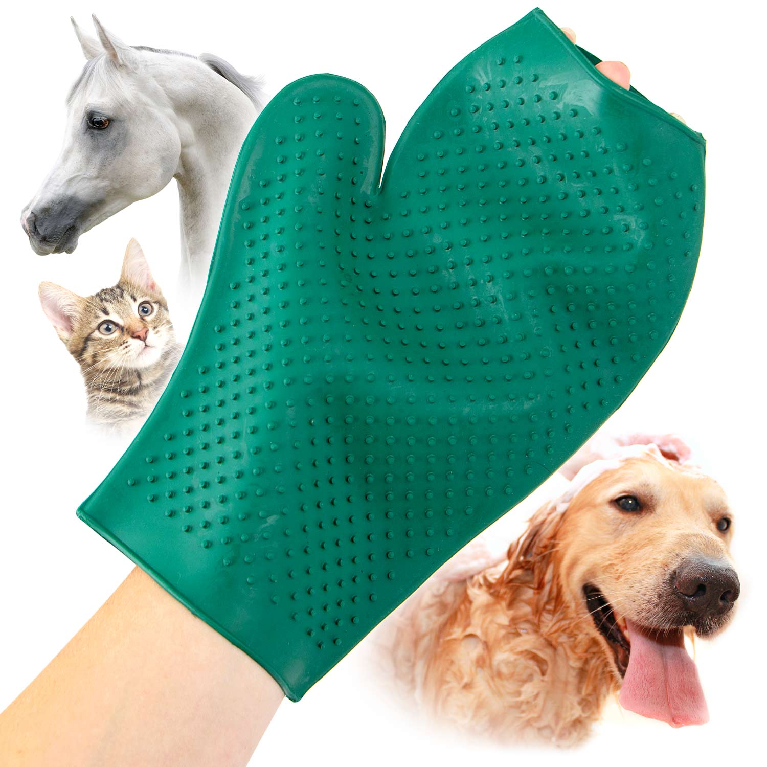 Jeffers GROOMIT - Rubber Grooming Glove for Animals - Image 13