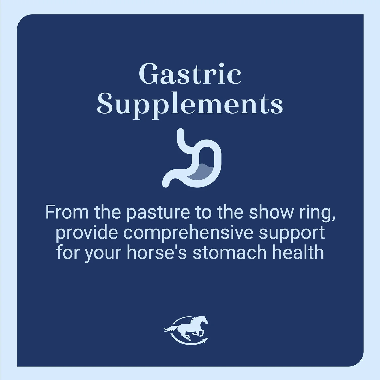 GUT Digestive Support for Horses, Paste - Image 3