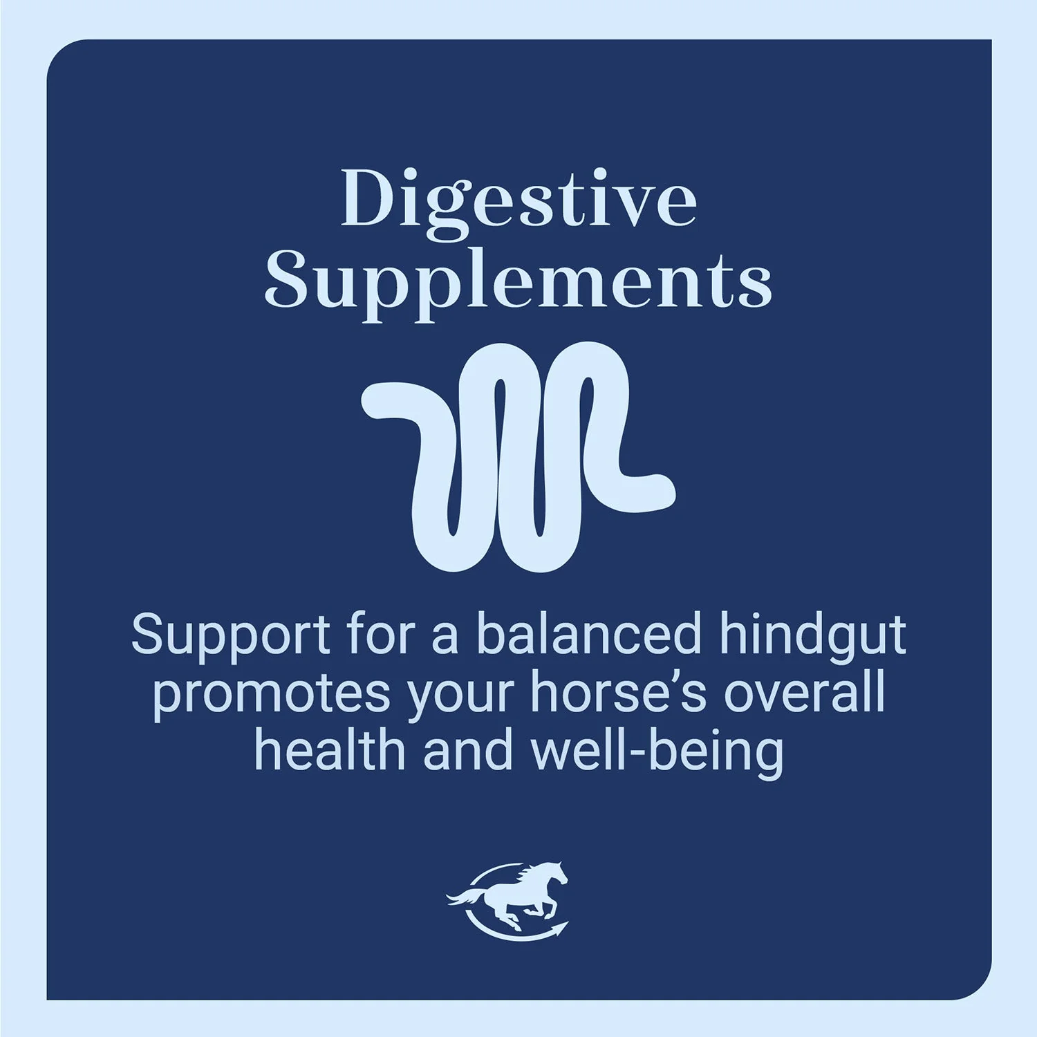 GUT, Digestive & Stomach Support Supplement for Horses, Pellets - Image 10