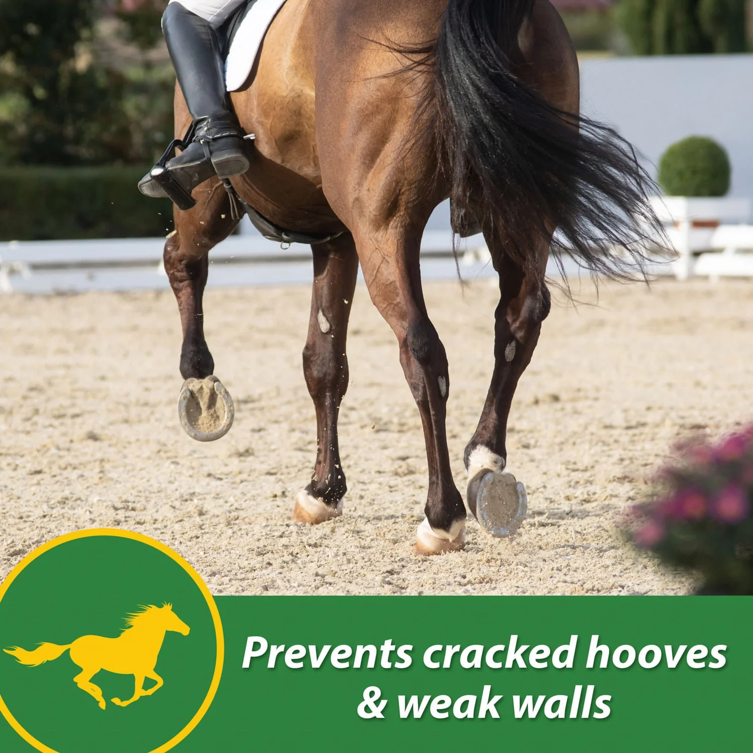 H.B. 15 Hoof Pellets for Horses - Image 5