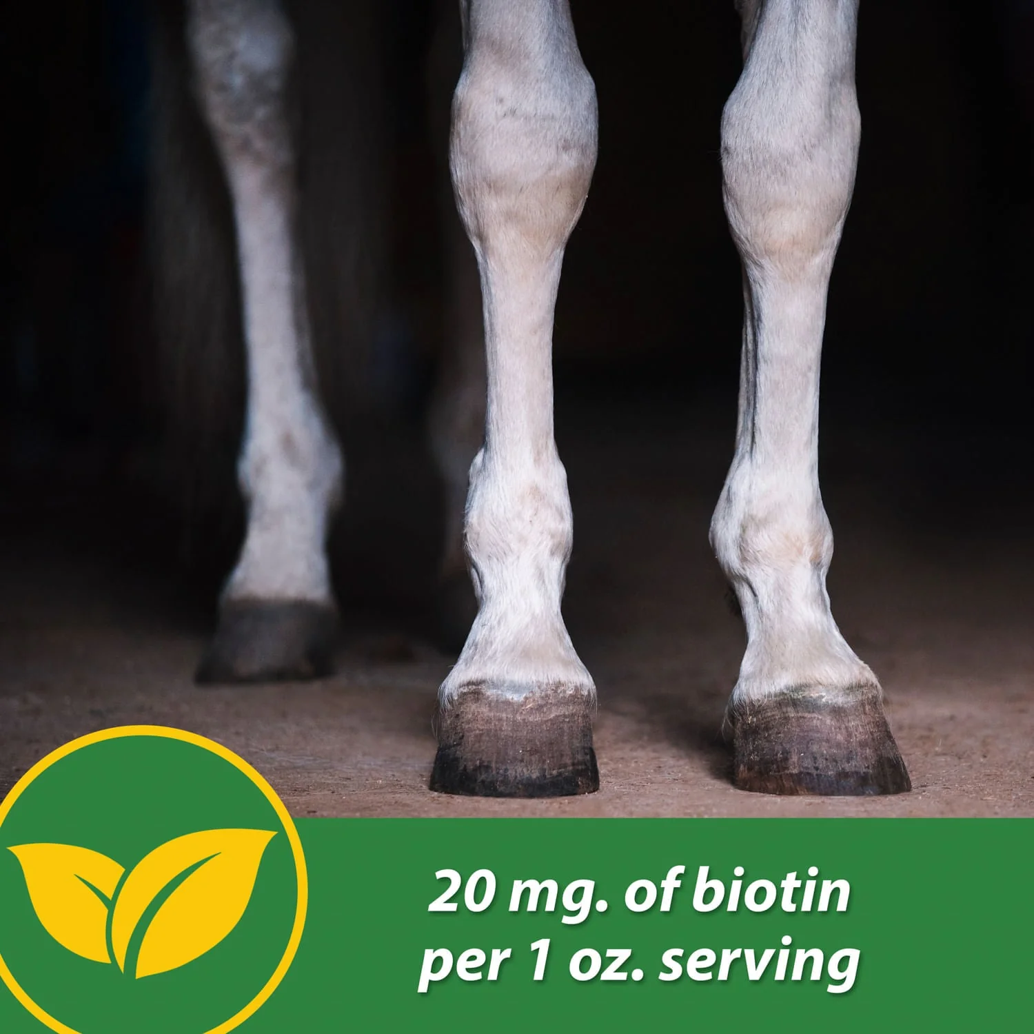 H.B. 15 Hoof Pellets for Horses - Image 7