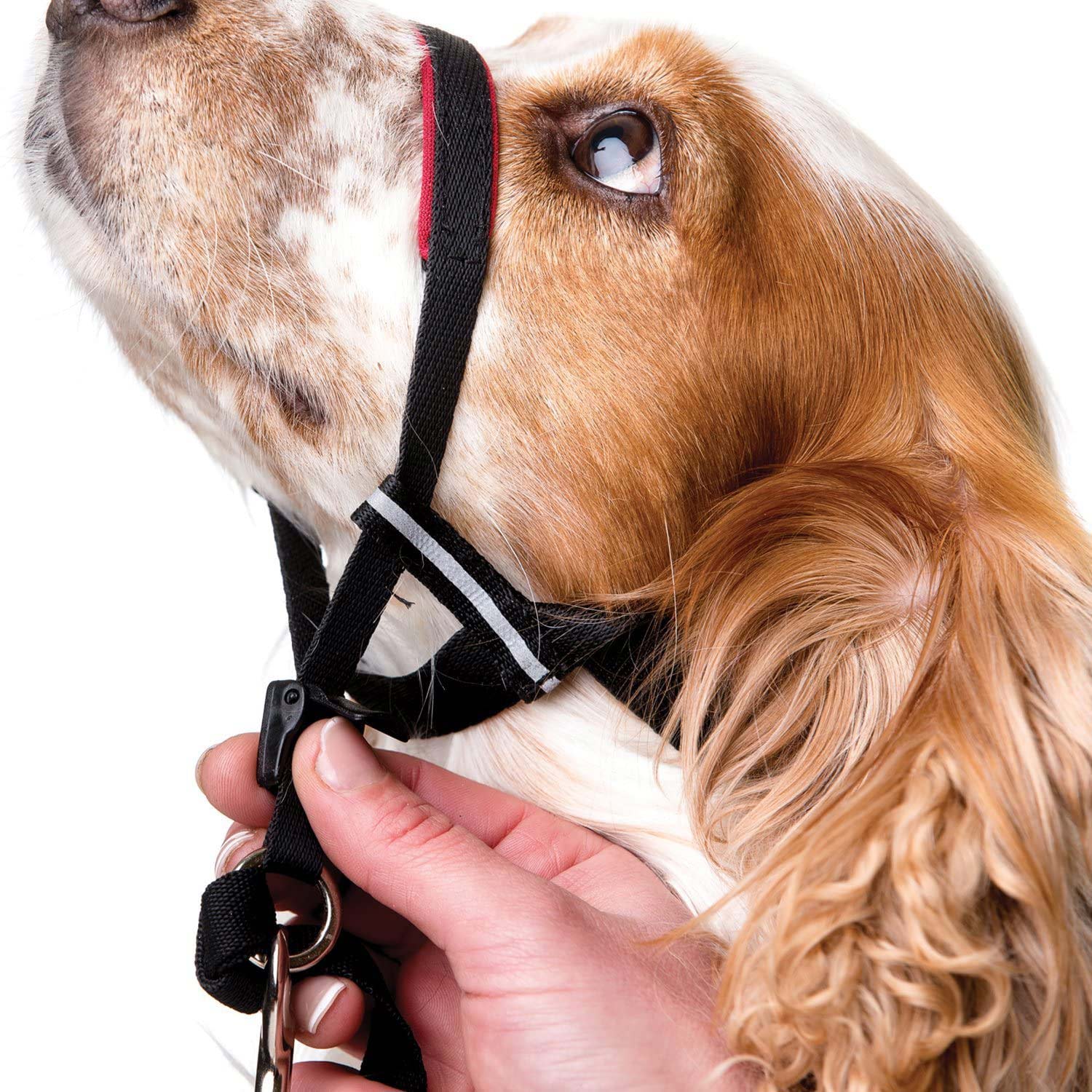 Halti OptiFit Headcollar - Image 4