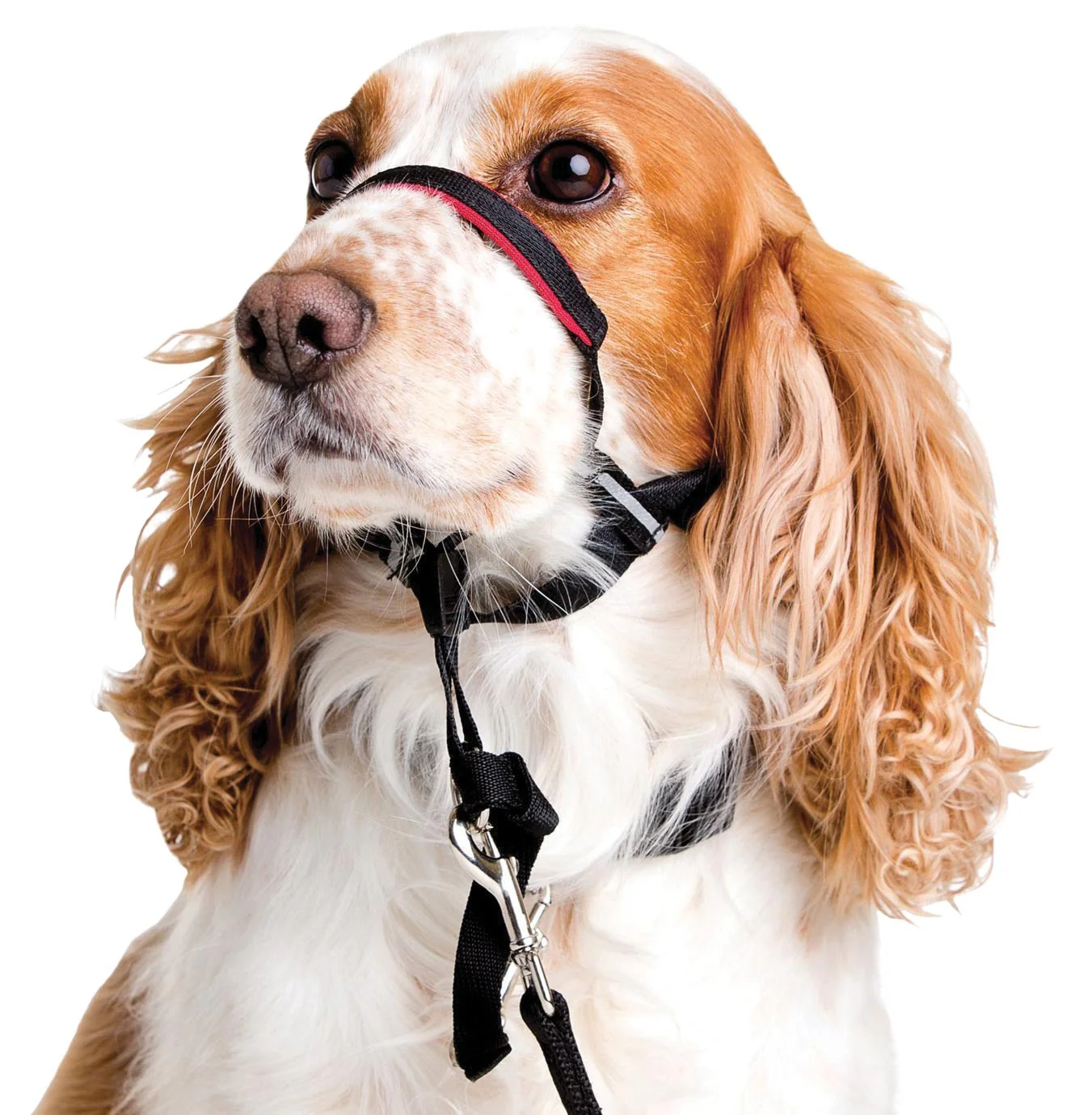 Halti OptiFit Headcollar - Image 7