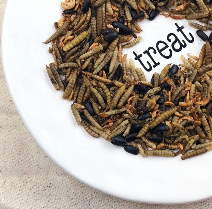 Happy Hen Bug Bonanza, Mealworm & Bug Blend Chicken Treats - Image 3