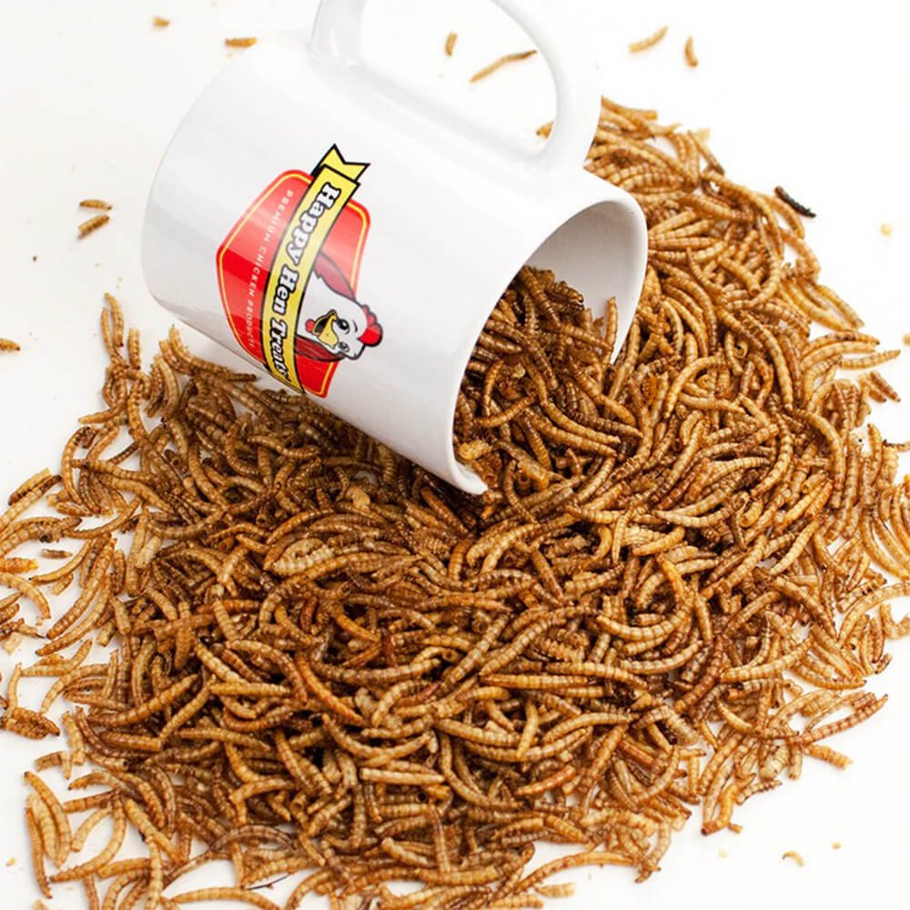 Happy Hen Treats MealWorm Frenzy for Chickens - Image 8