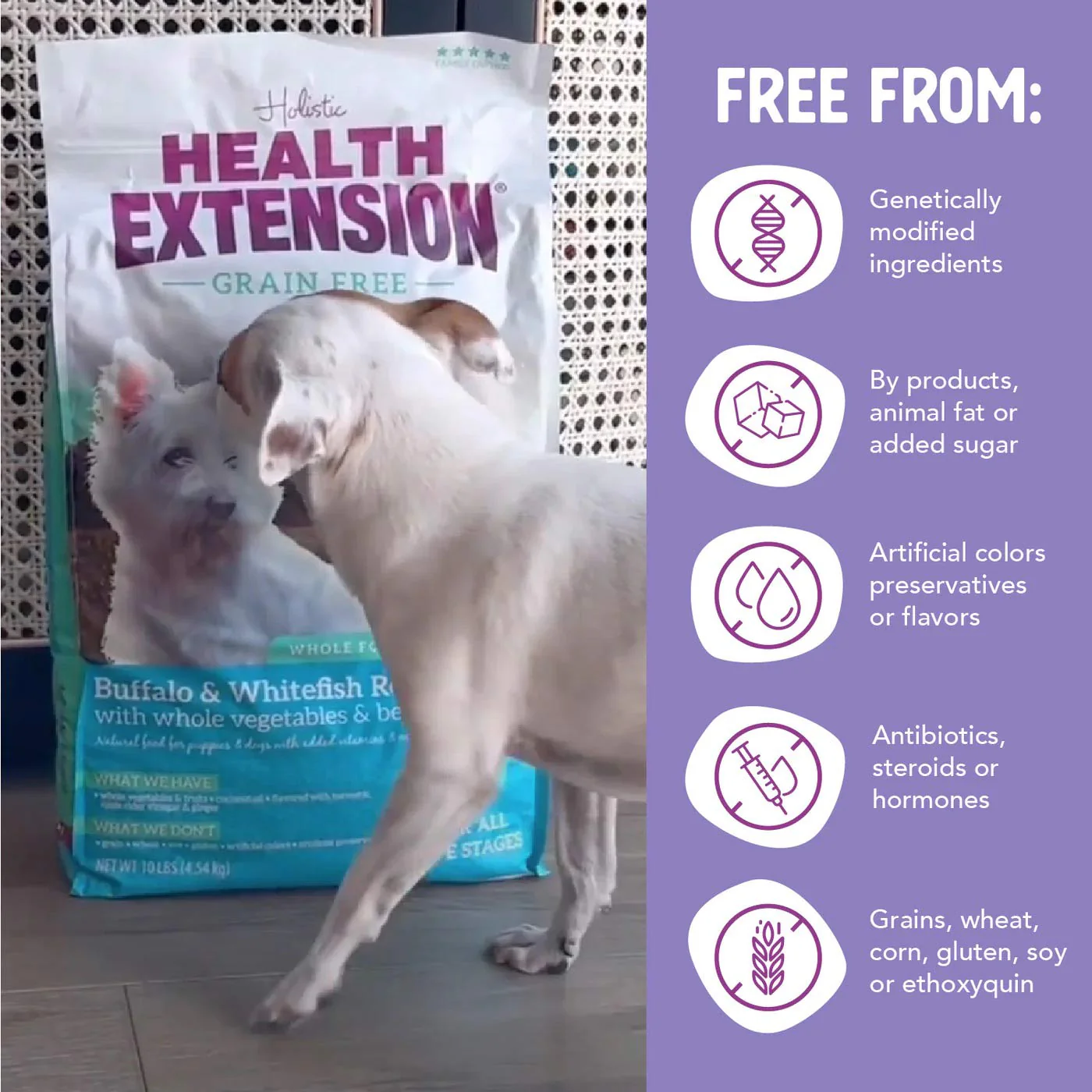 Health Extension Grain-Free Venison Little Bites Small Breed Dry Dog Food - Image 19