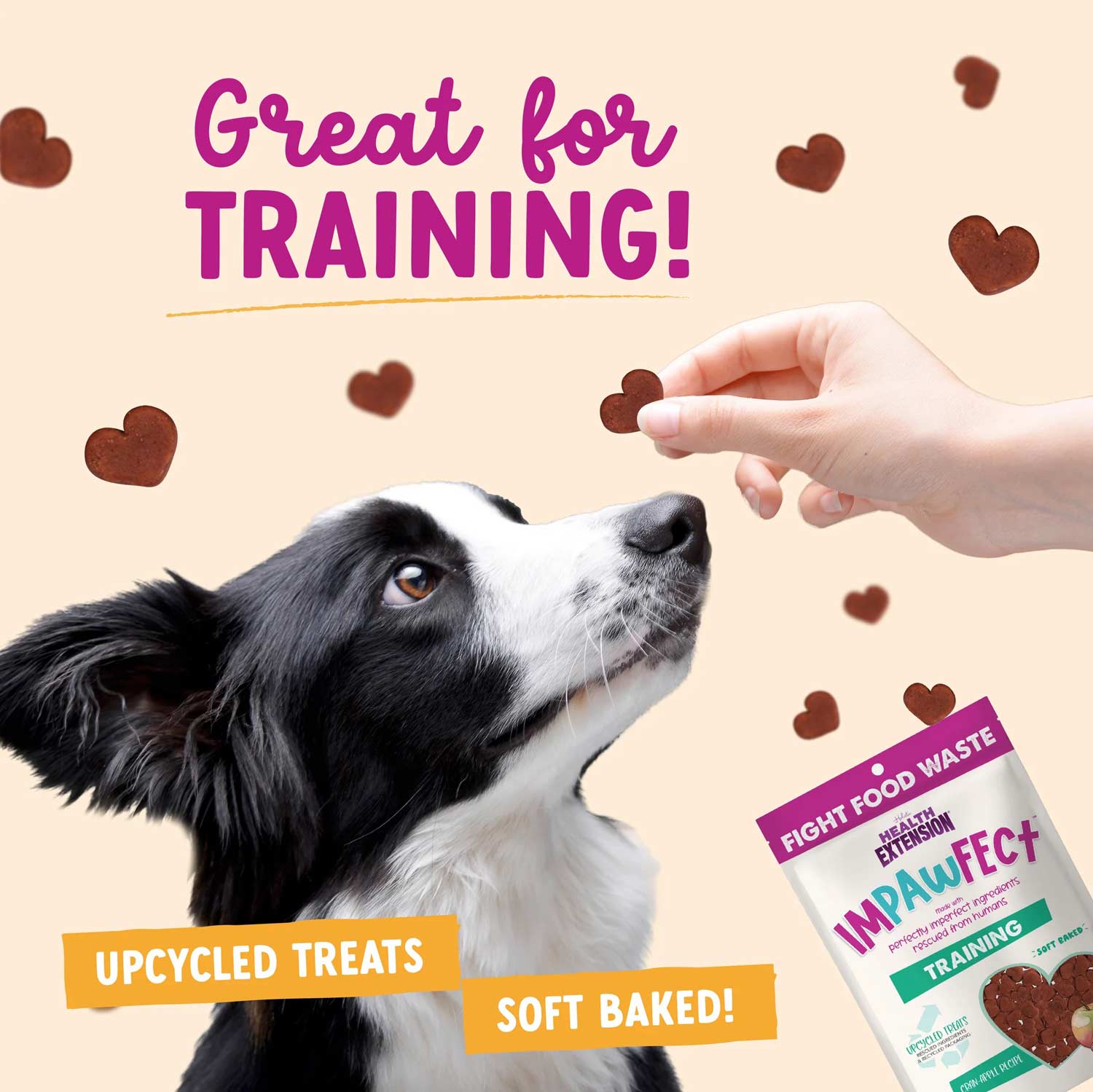 Health Extension Impawfect Bacon Recipe Training Treats for Dogs and Puppies, 4 oz - Image 12