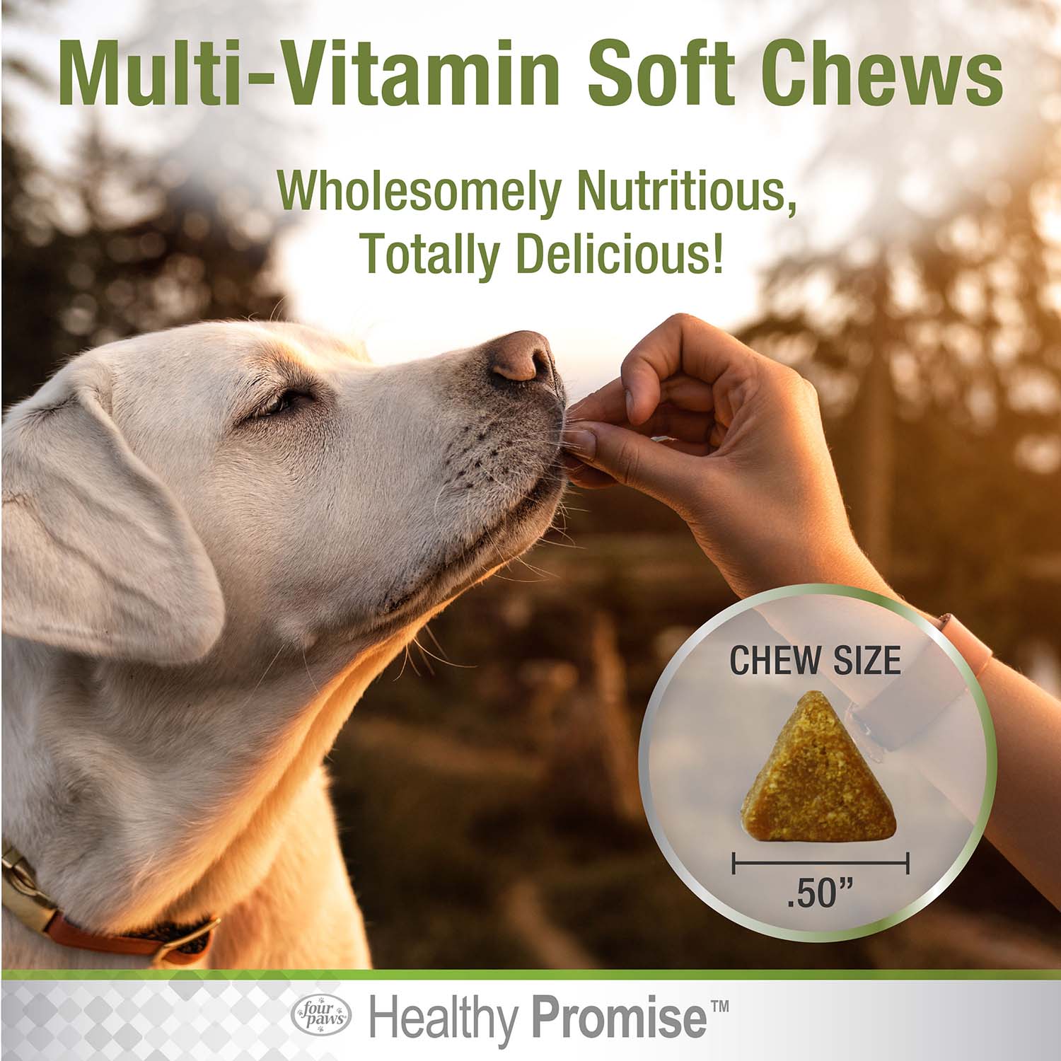 Healthy Promise Dog Multivitamin Soft Chews, Savory Chicken, 120 ct - Image 5