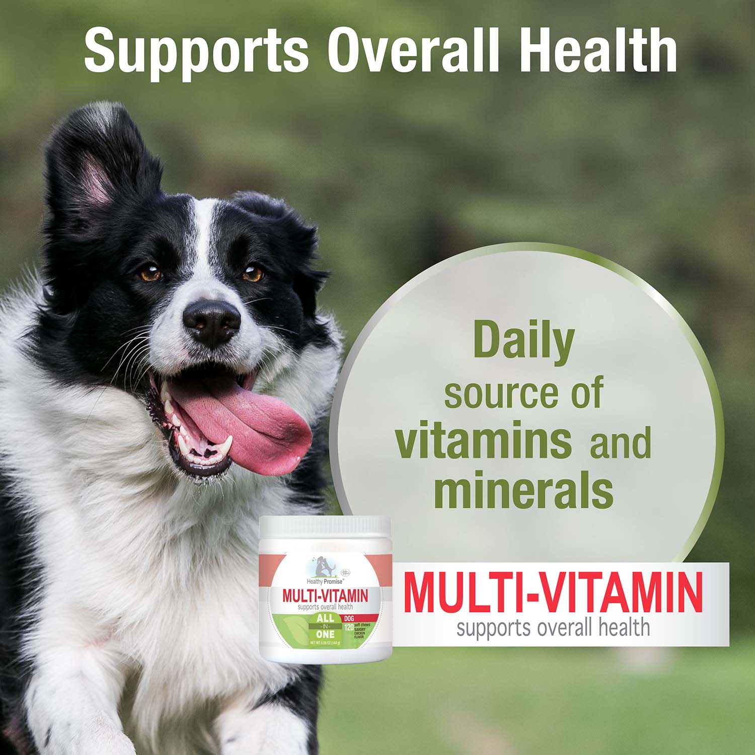 Healthy Promise Dog Multivitamin Soft Chews, Savory Chicken, 120 ct - Image 6