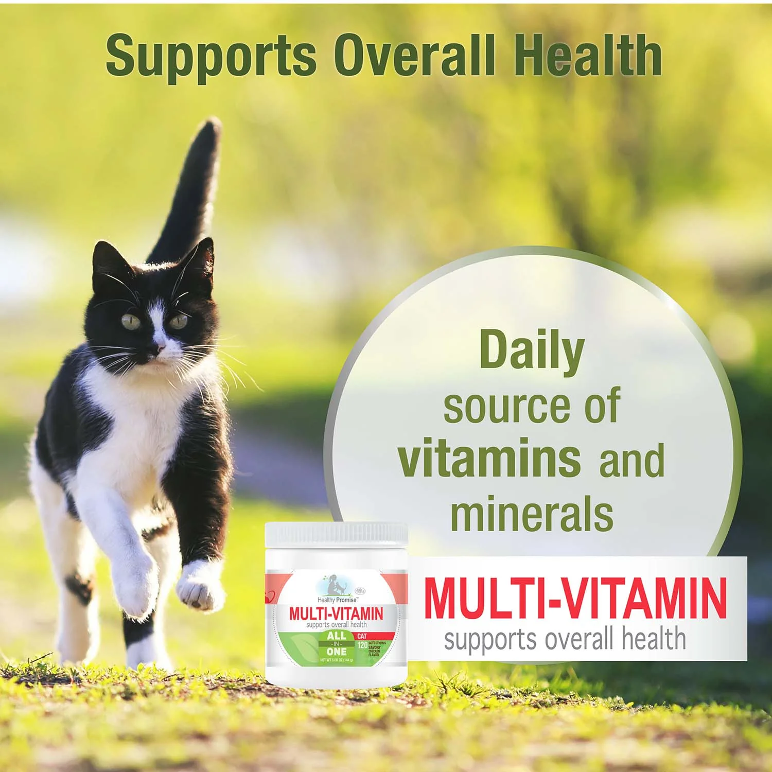 Healthy Promise Multi-Vitamins For Cats, Savory Chicken, 120 ct - Image 7