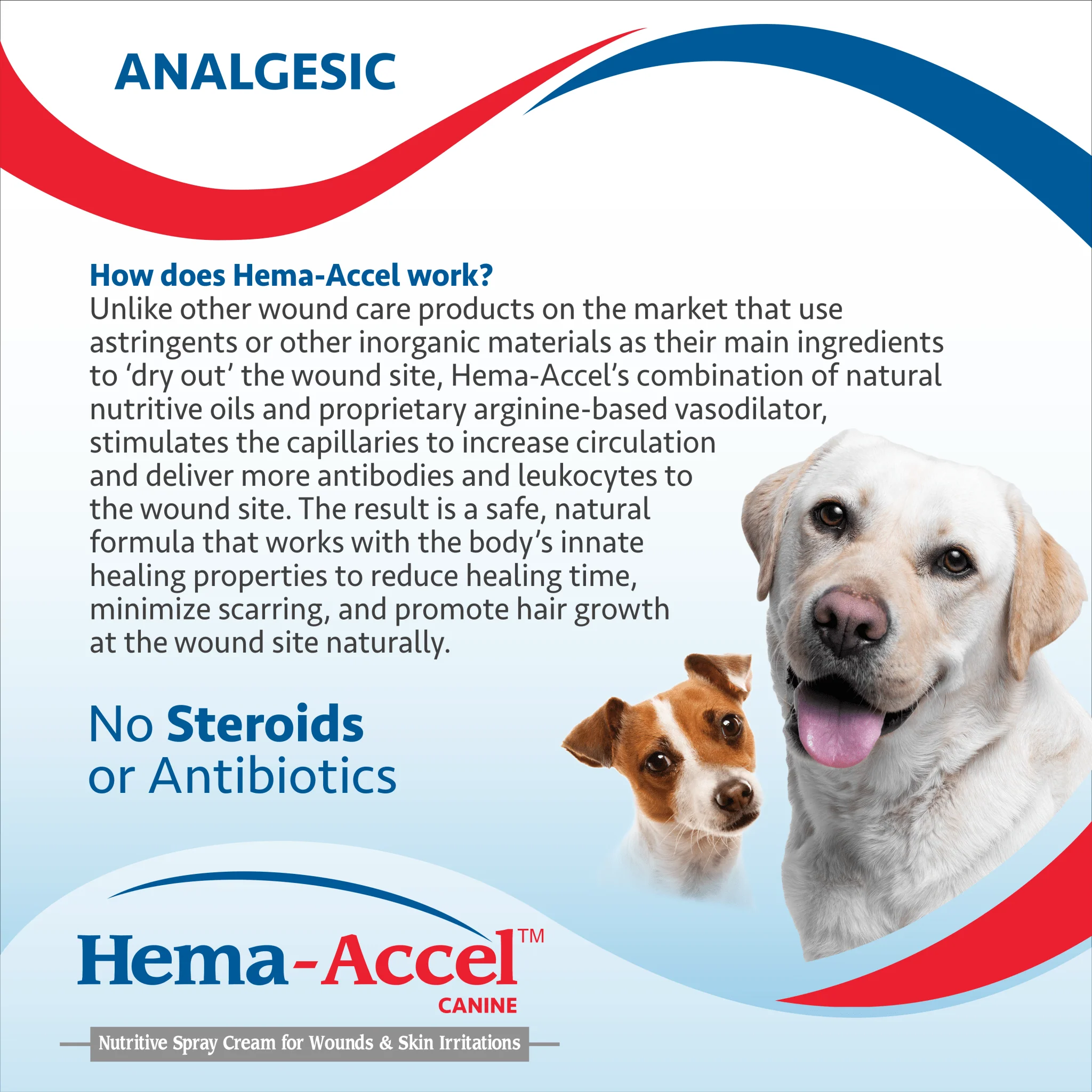 Hema-Accel Canine All Natural Wound Care Spray, 4 oz - Image 3