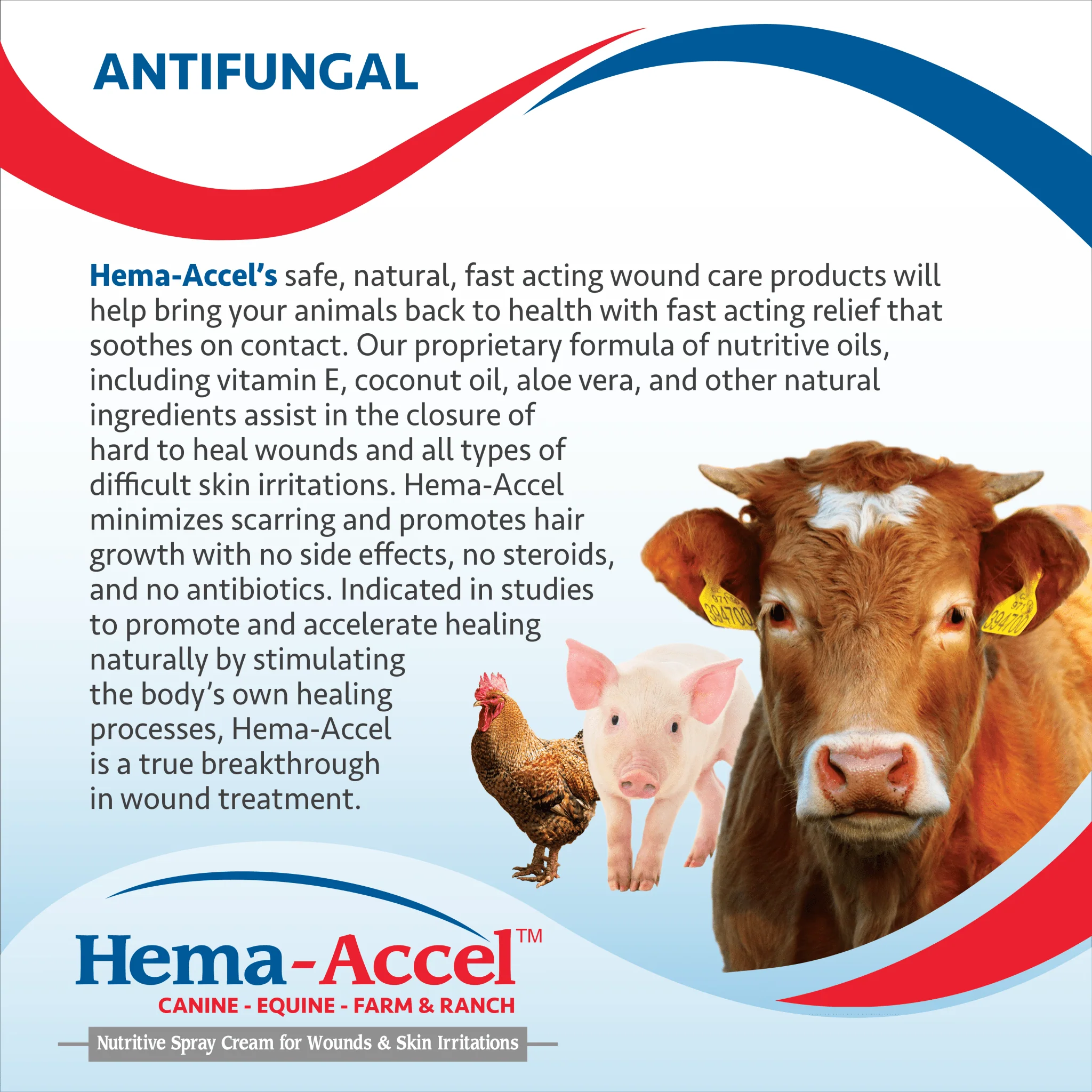 Hema-Accel Equine All Natural Wound Care Spray, 16 oz - Image 3