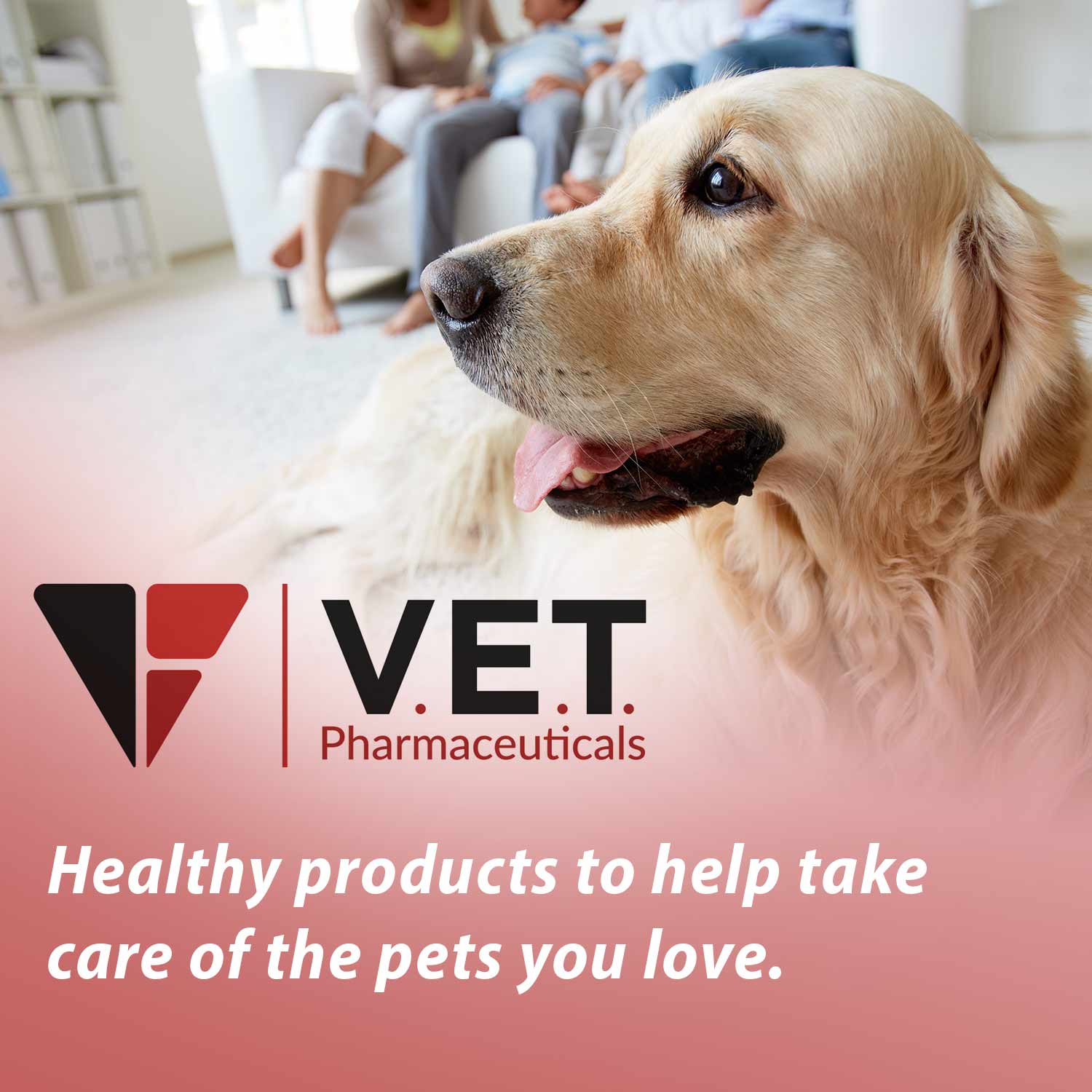 Vitamin K1 Chewable Tablets for Cats & Dogs - Image 7