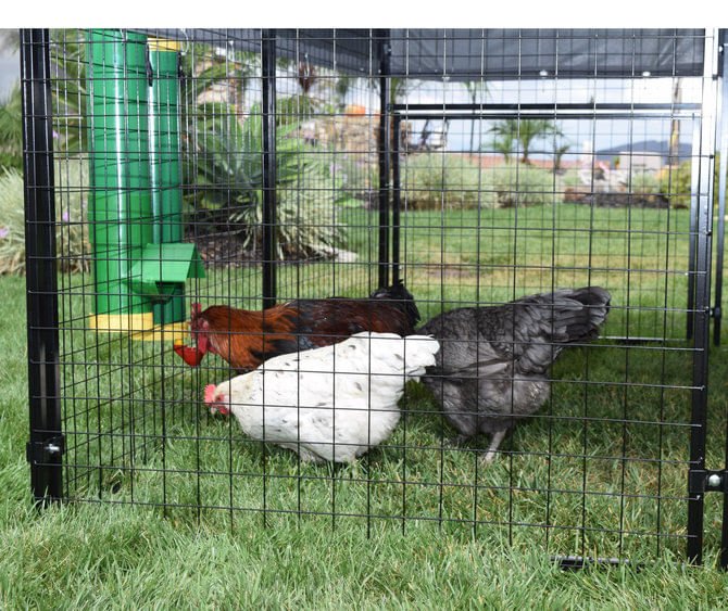 High End Hen Poultry Feeder and Waterer Set, 10 lb Feed Capacity, 2 Gallon Waterer, Mountable PVC Chicken Coop Accessories - Image 5