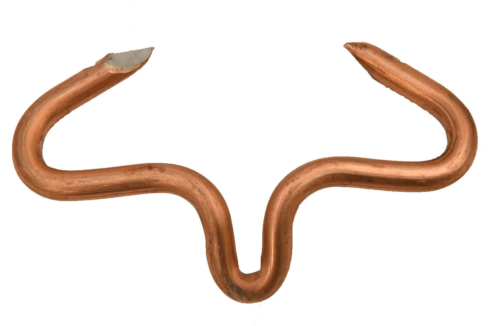 Hog and Pig Rings - Image 3