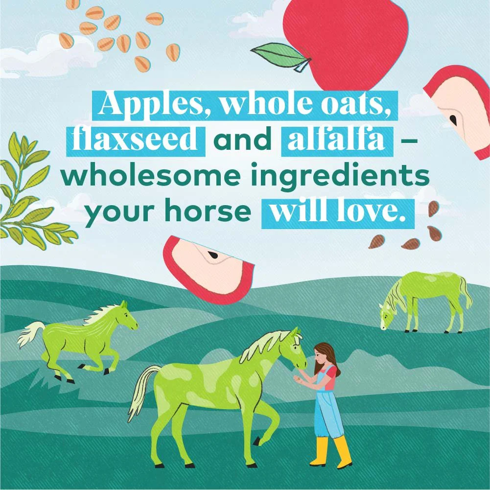 Honest To Goodness Upcycled Horse Treats - Natural Healthy Low Sugar & Grain-Free, 2 lbs - Image 5