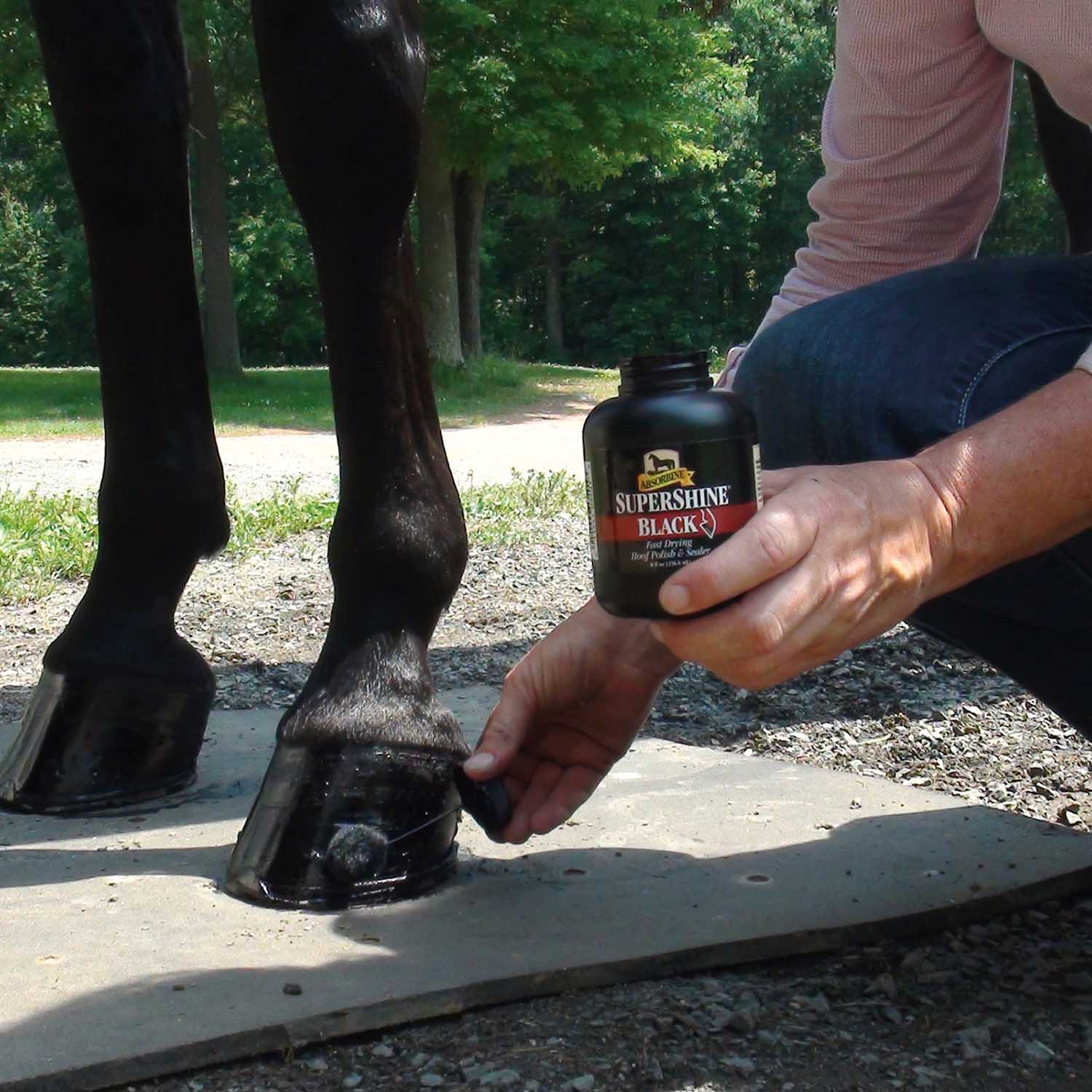 SuperShine Hoof Polish & Sealer - Image 3