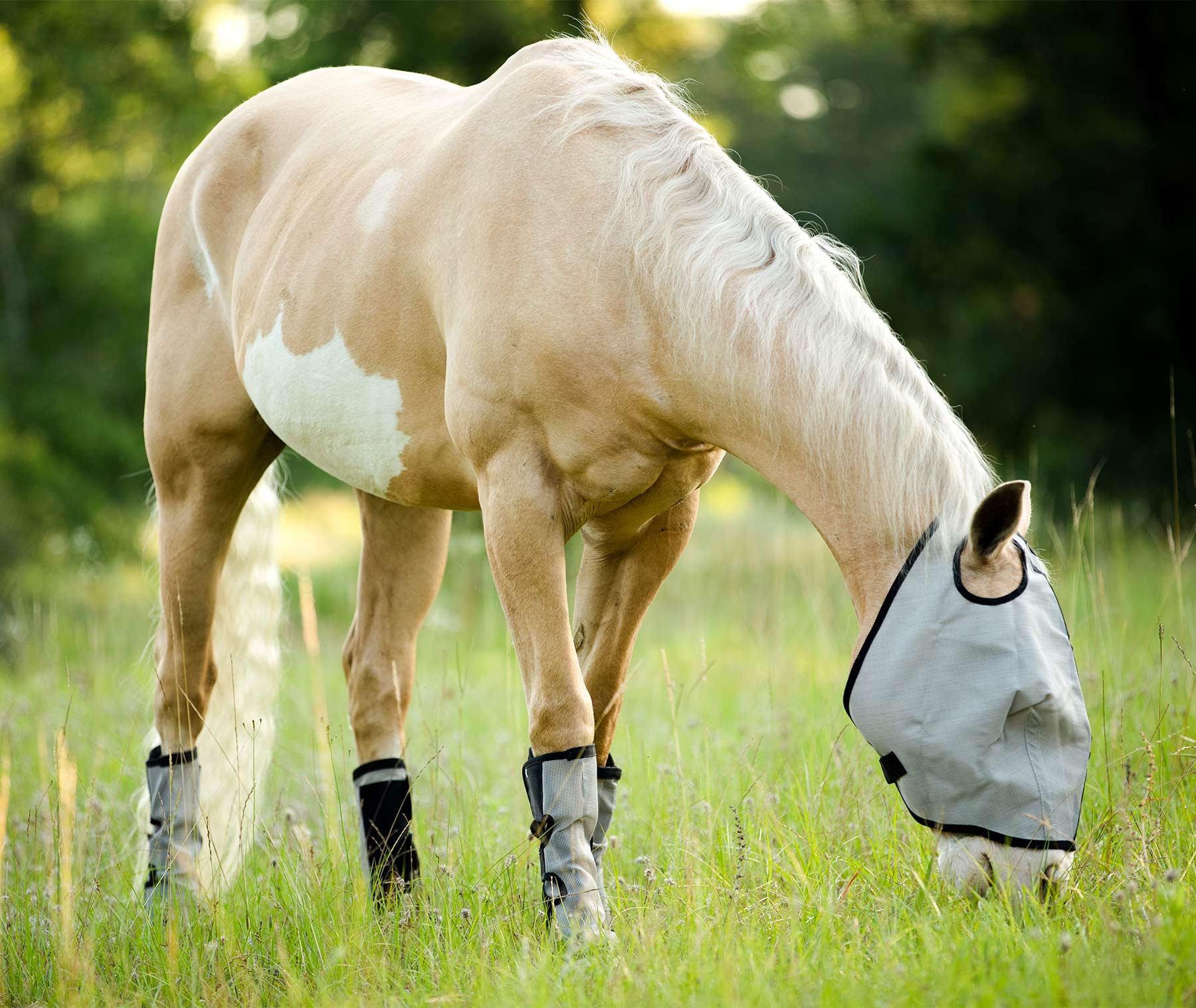 Horse Sense Fly Leg Wraps, Pair - Image 4
