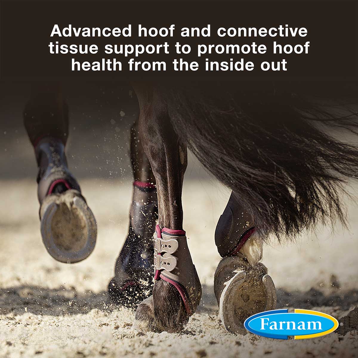 Horseshoer's Secret Hoof & Connective Tissue Supplement - Image 3