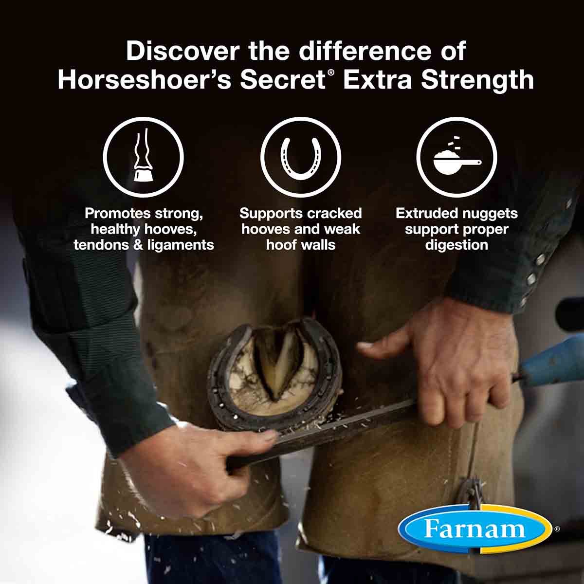 Horseshoer's Secret Hoof & Connective Tissue Supplement - Image 4