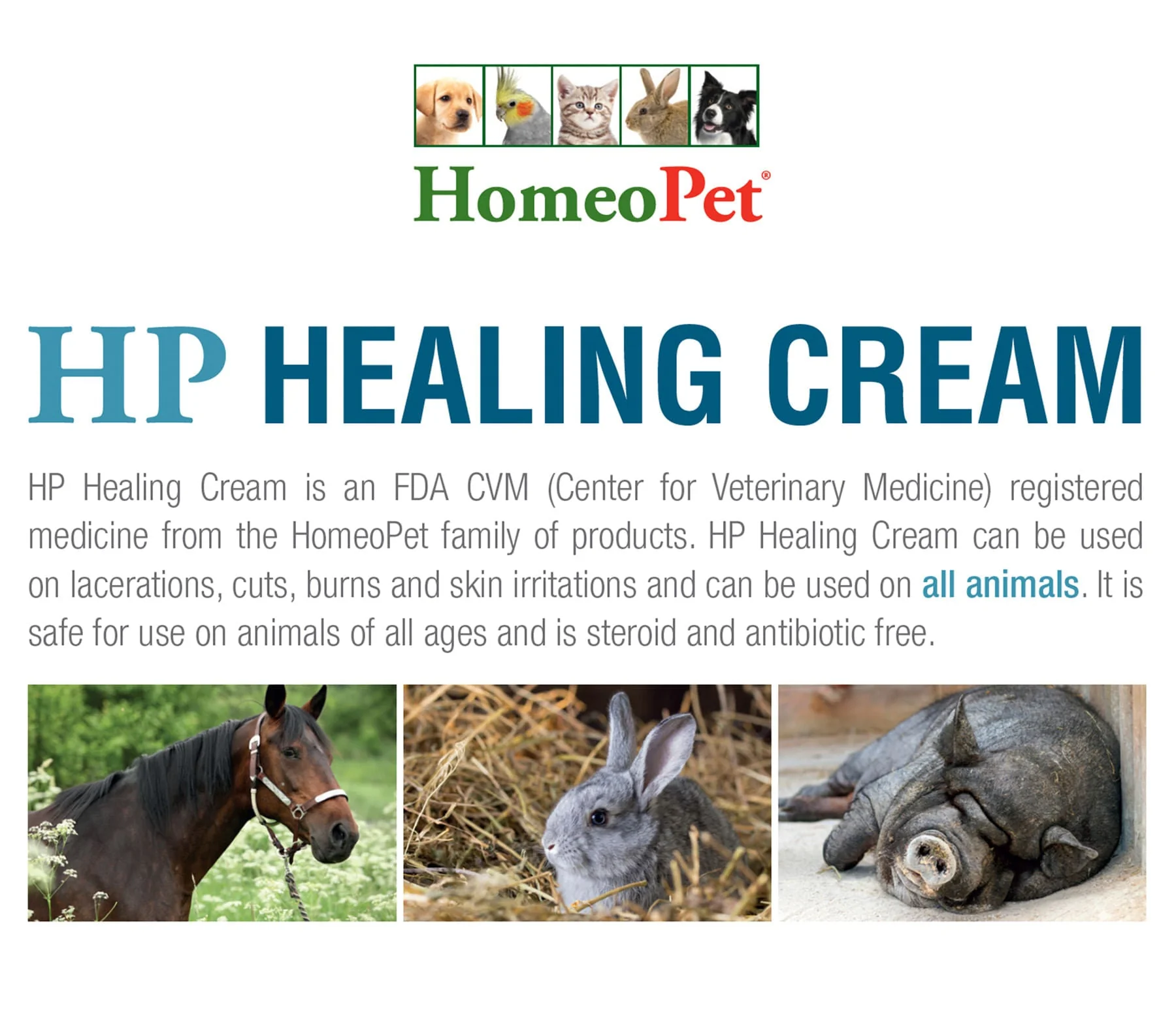 HomeoPet HP Healing Cream, 14 g - Image 3