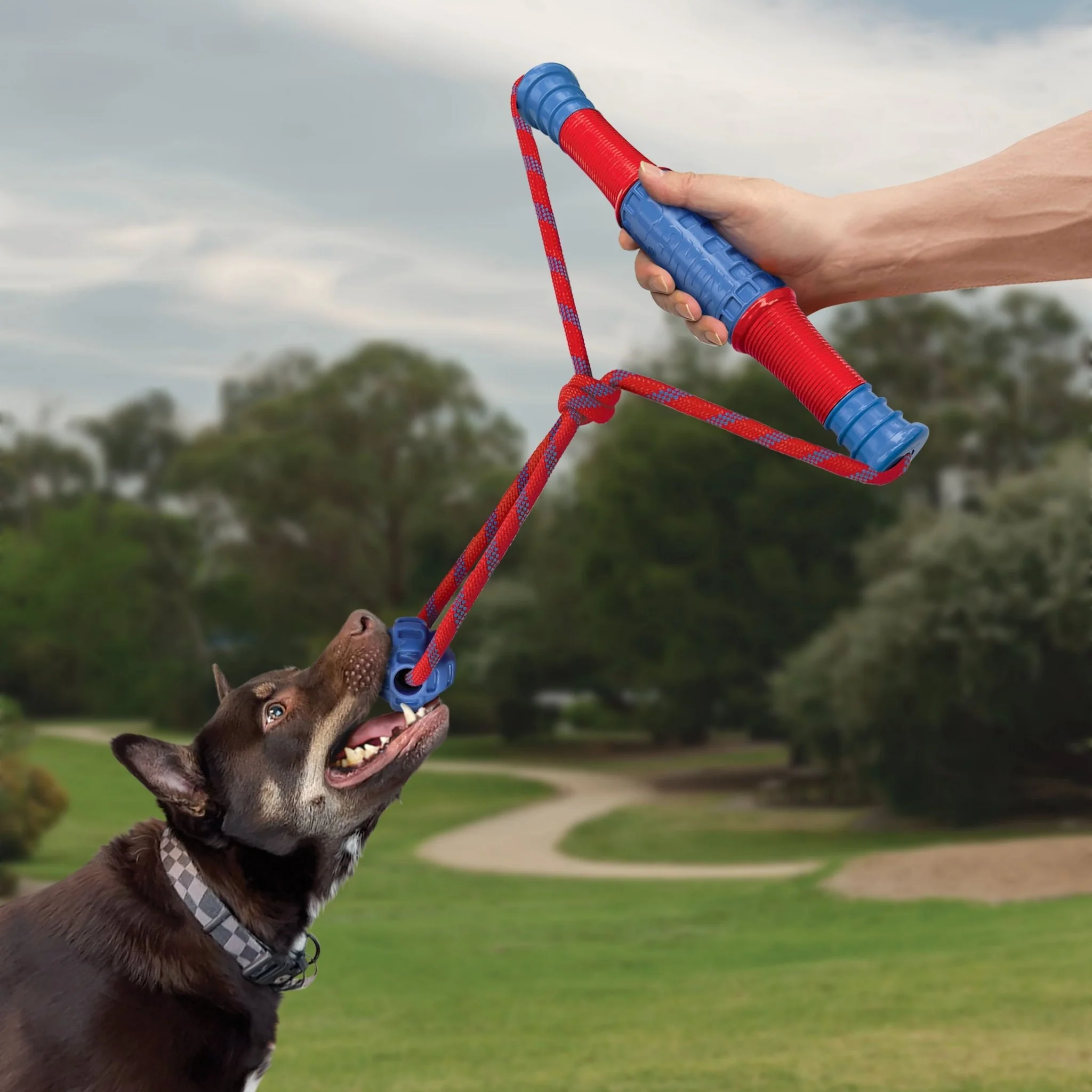 KONG Jaxx Mega Tug - Image 4