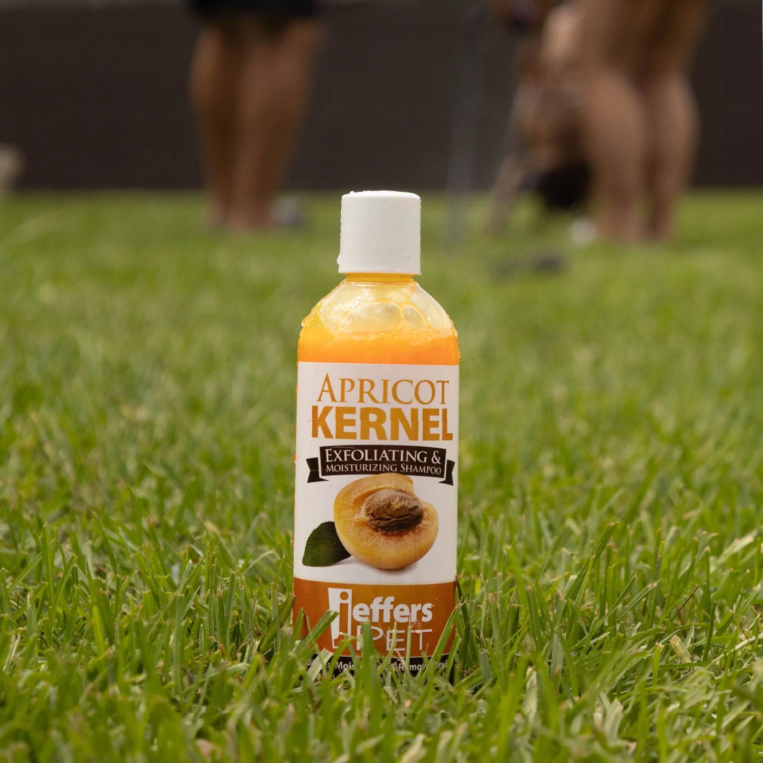 Jeffers Apricot Kernel Exfoliating & Moisturizing Pet Shampoo - Image 3