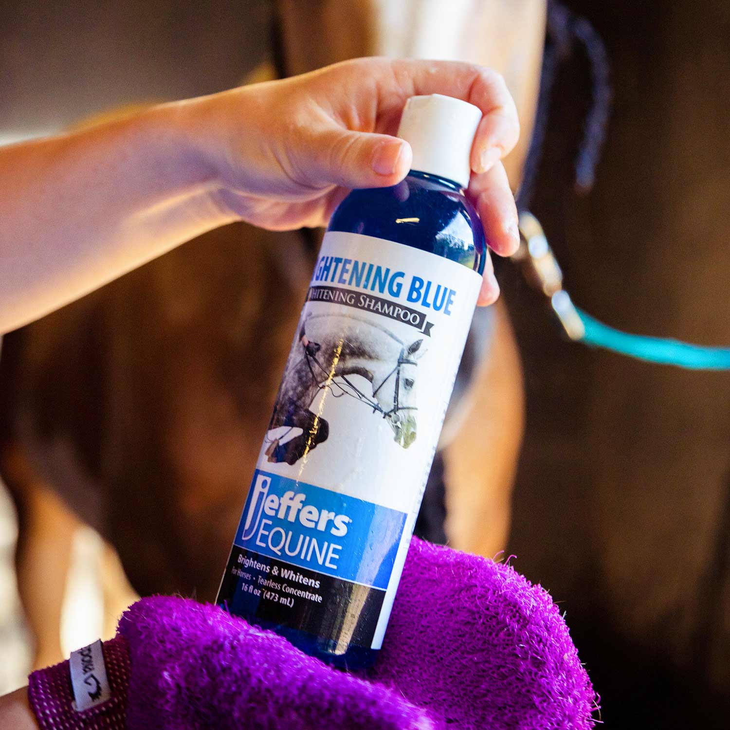 Jeffers Equine BRIGHTENING BLUE Whitening Horse Shampoo - Image 3