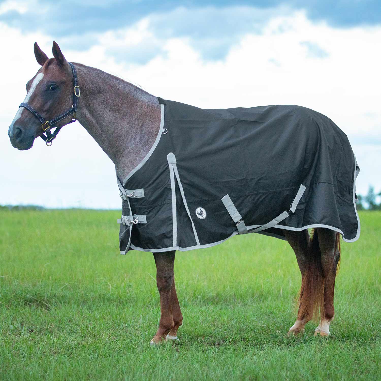 Jeffers Economy 600 Denier Lightweight Standard Neck Horse Turnout Sheet, 0 g Fill - Image 3