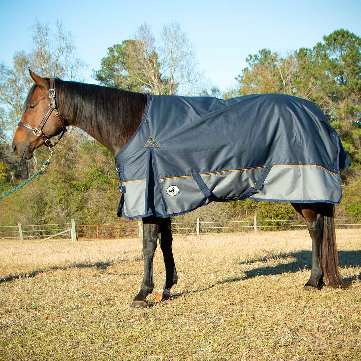Jeffers Economy Plus 1200 Denier Turnout Blanket with Standard Neck, 240 Gram - Image 2