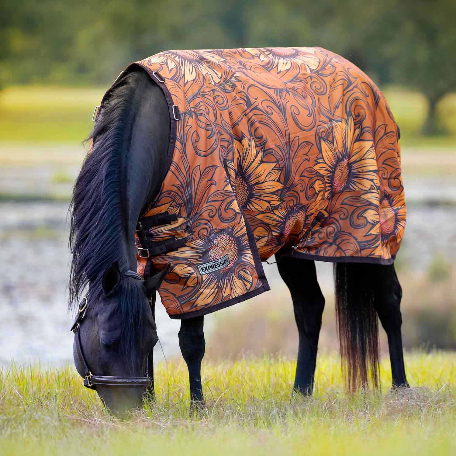 Jeffers Expression 1200 Denier Standard Neck Turnout Horse Blanket, 240 Gram - Image 13