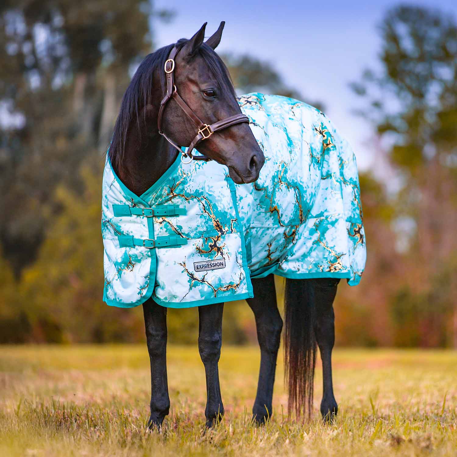 Jeffers Expression 1200 Denier Standard Neck Horse Turnout Sheet, 0 Gram - Image 13