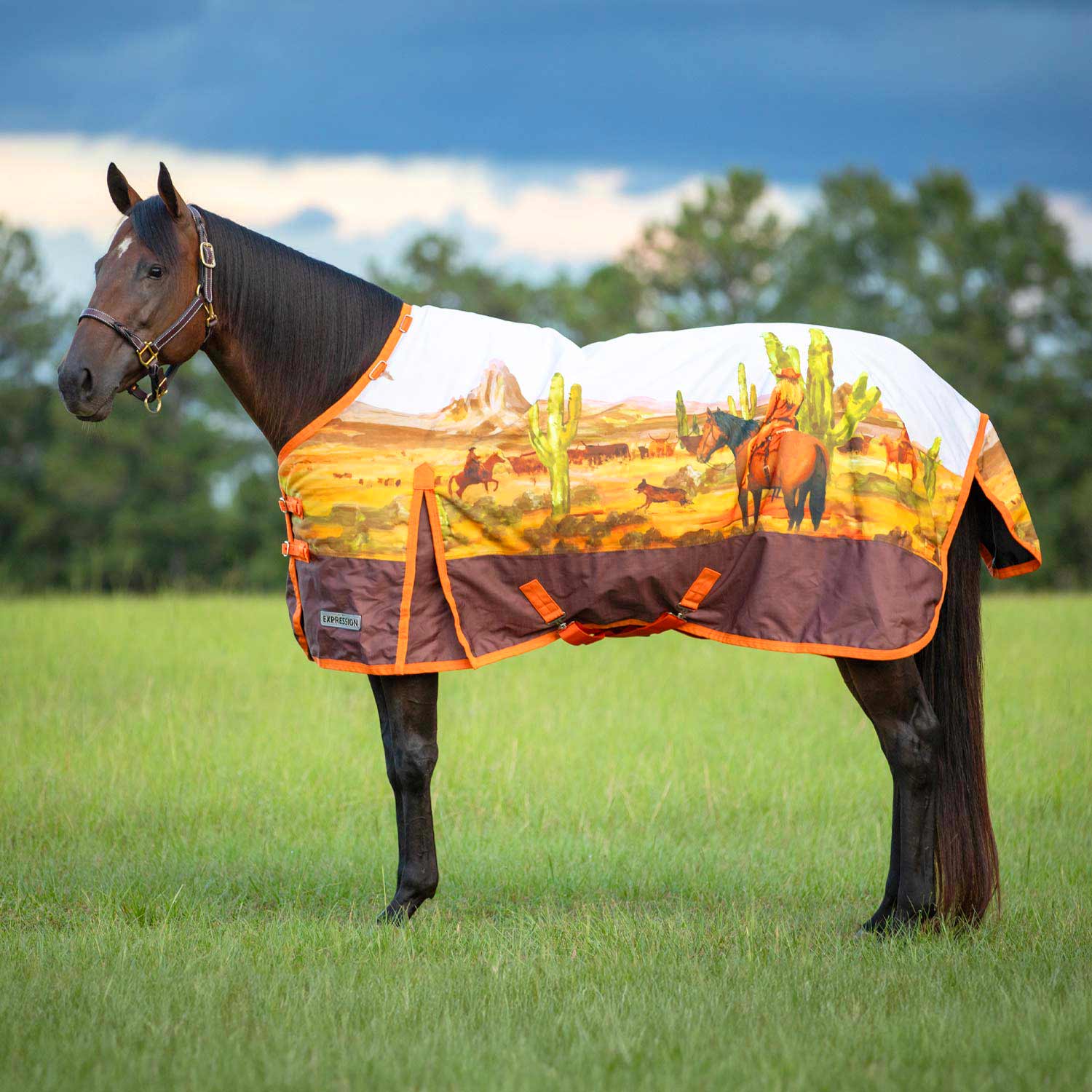 Jeffers Expression 1200 Denier Standard Neck Horse Turnout Sheet, 0 Gram - Image 26