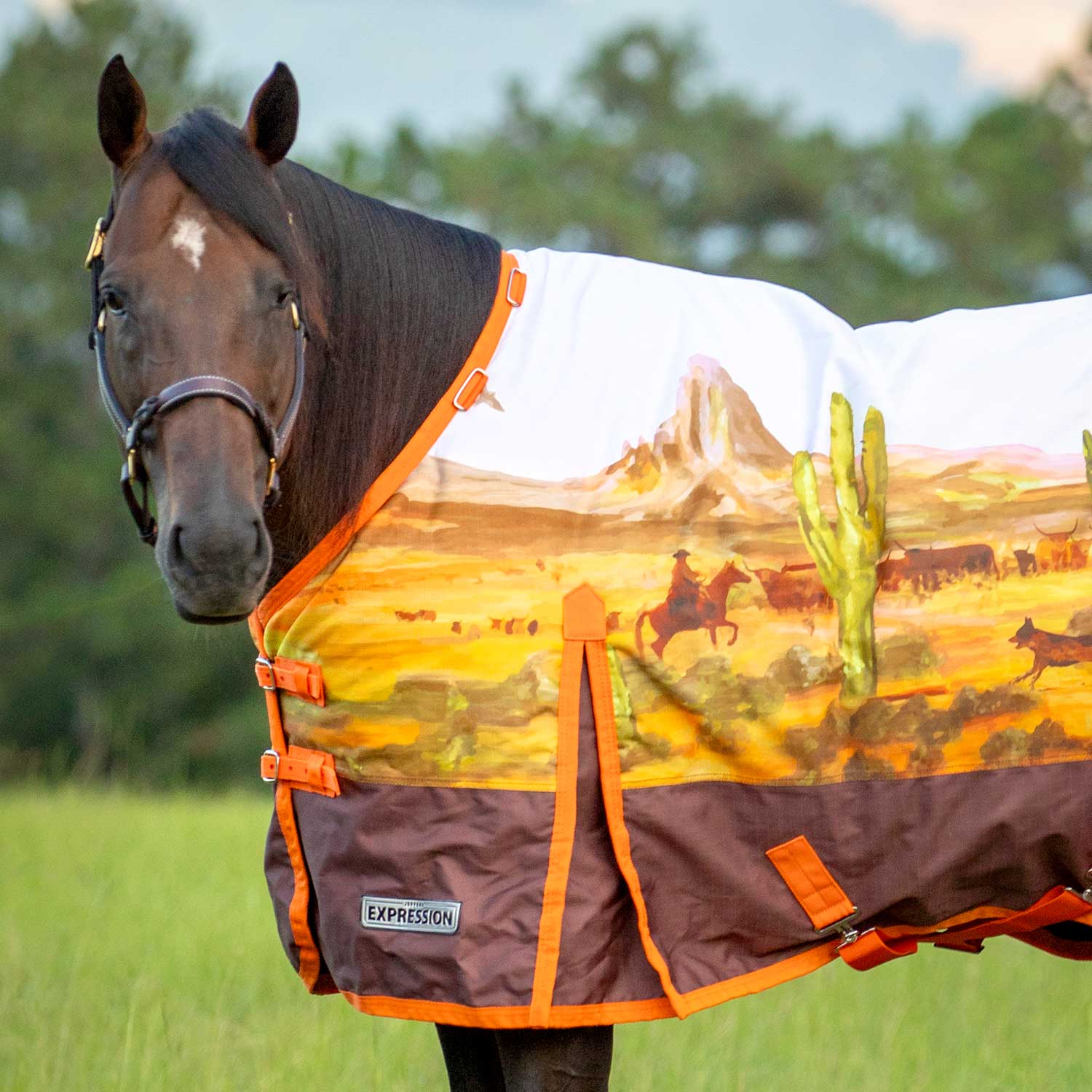 Jeffers Expression 1200 Denier Standard Neck Horse Turnout Sheet, 0 Gram - Image 28
