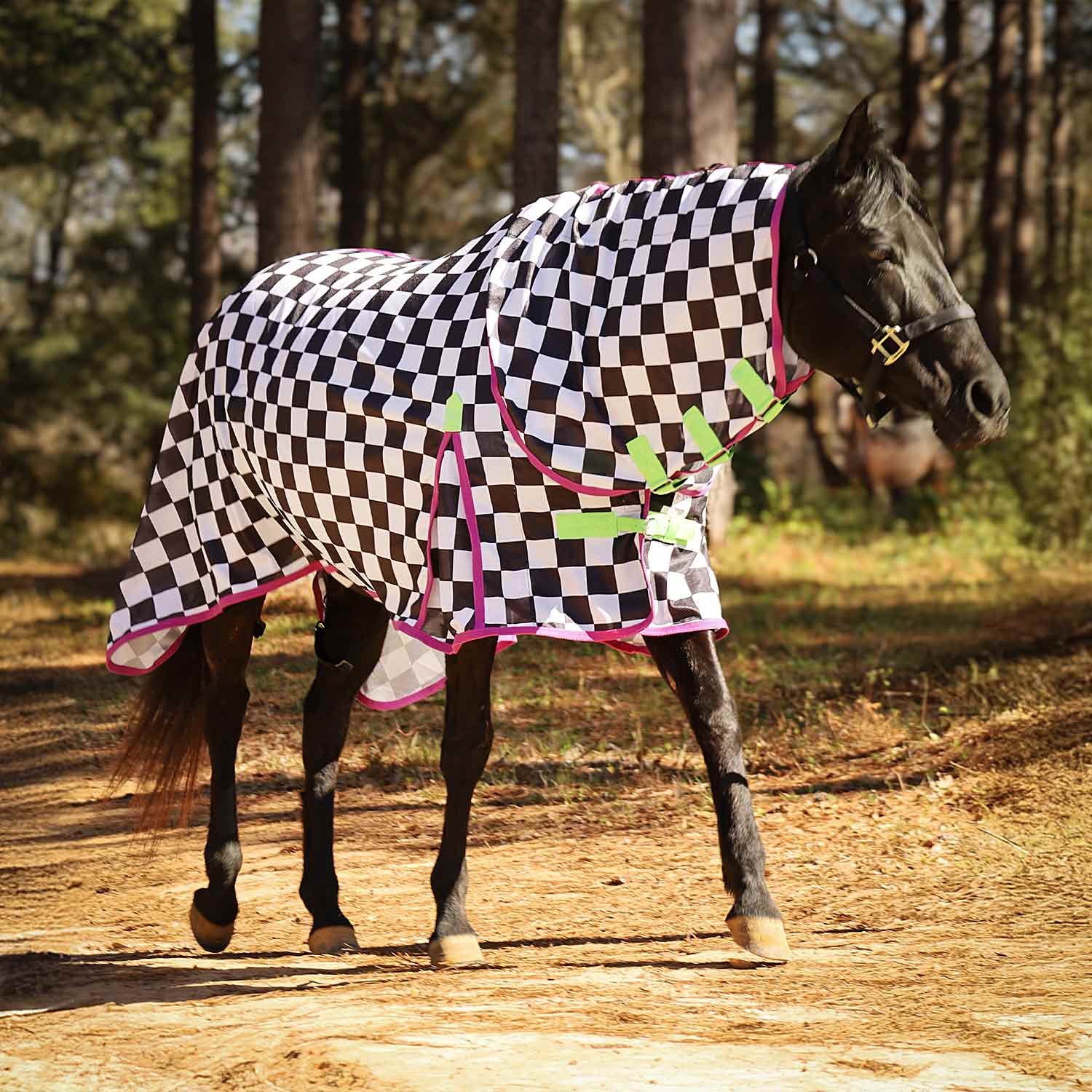 Jeffers Expression Softmesh Combo Neck Horse Fly Sheet - Image 2