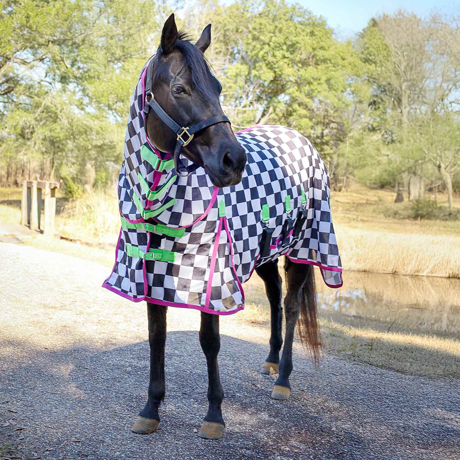 Jeffers Expression Softmesh Combo Neck Horse Fly Sheet - Image 3