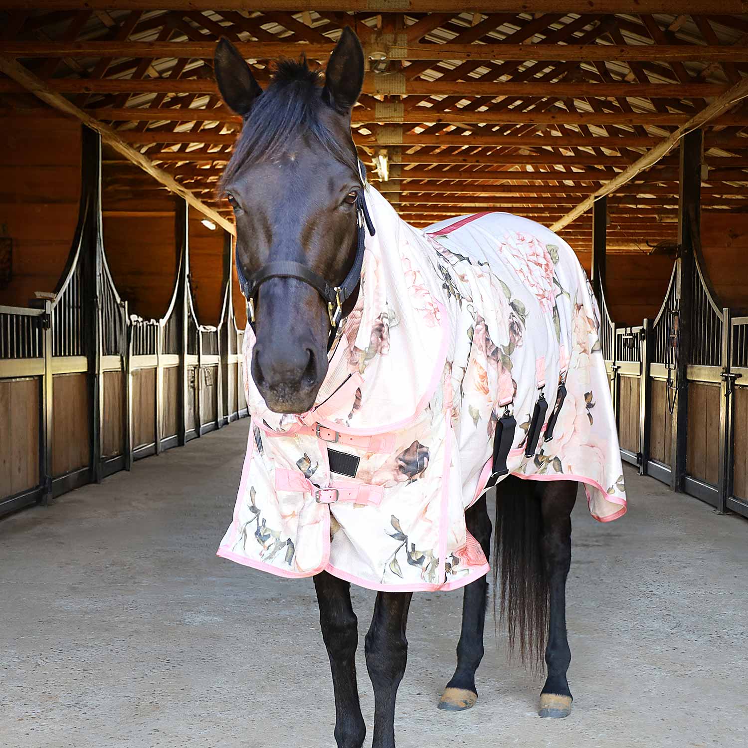 Jeffers Expression Softmesh Combo Neck Horse Fly Sheet - Image 5