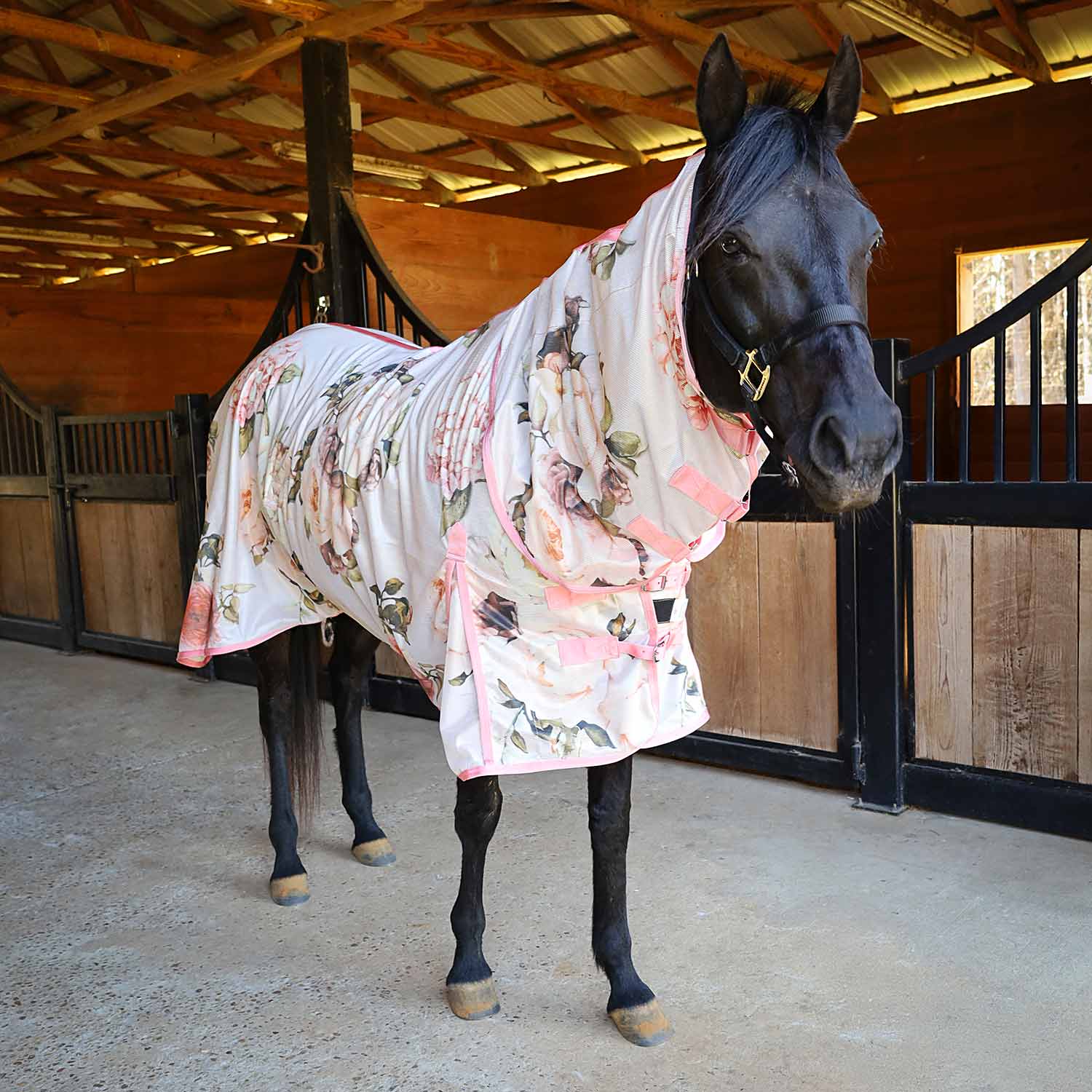 Jeffers Expression Softmesh Combo Neck Horse Fly Sheet - Image 6