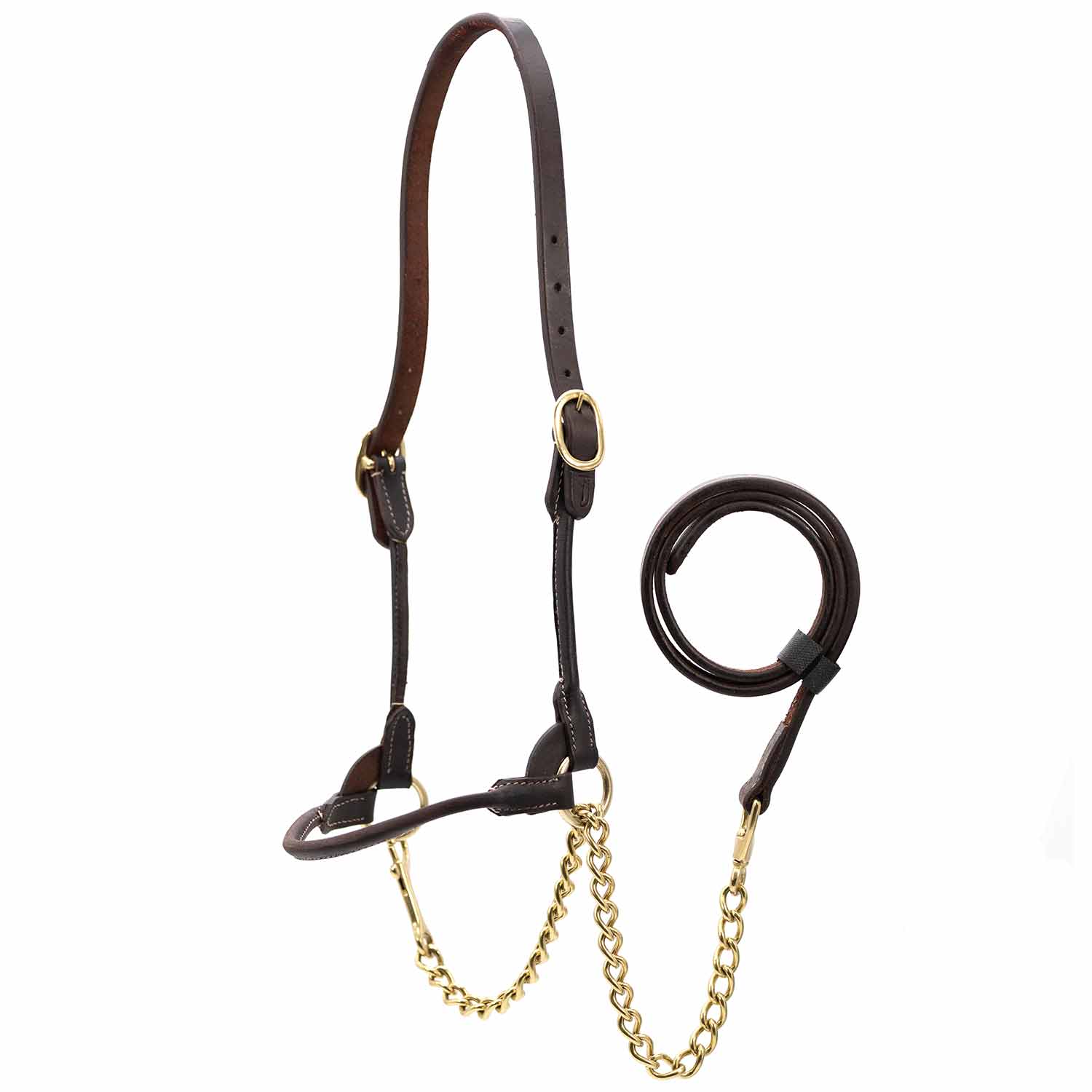 Jeffers Harness Leather Show Halter for Cattle – Includes Lead & Brass Chain - Image 8