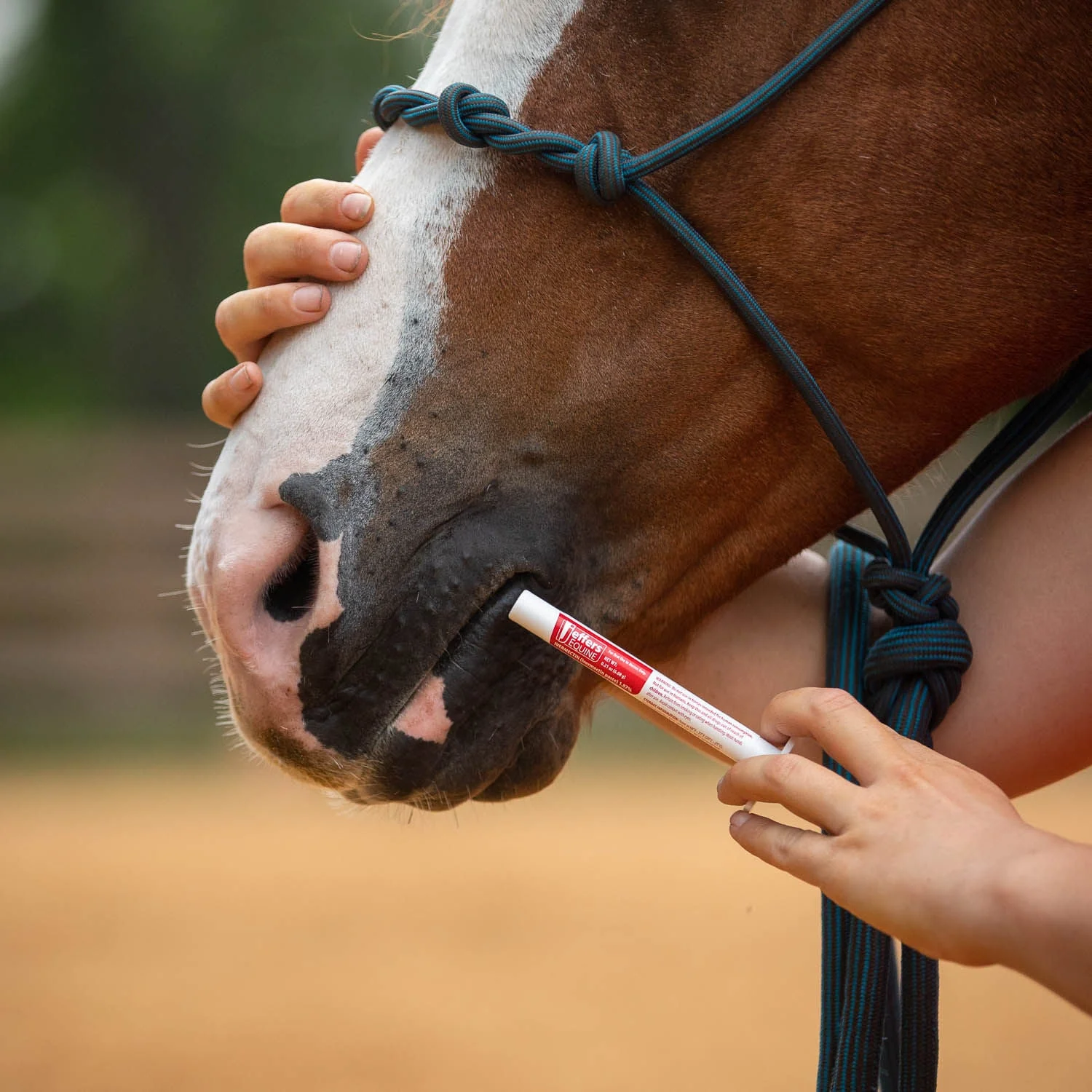 Jeffers Ivermectin Horse Dewormer Gel, Apple Flavored - Image 6