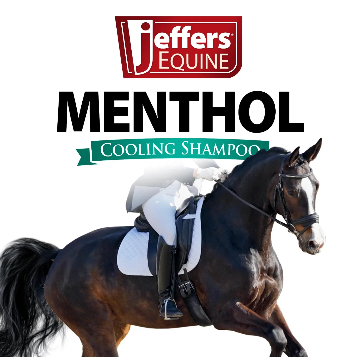 Jeffers Equine Menthol Cooling Shampoo for Horses - Image 3