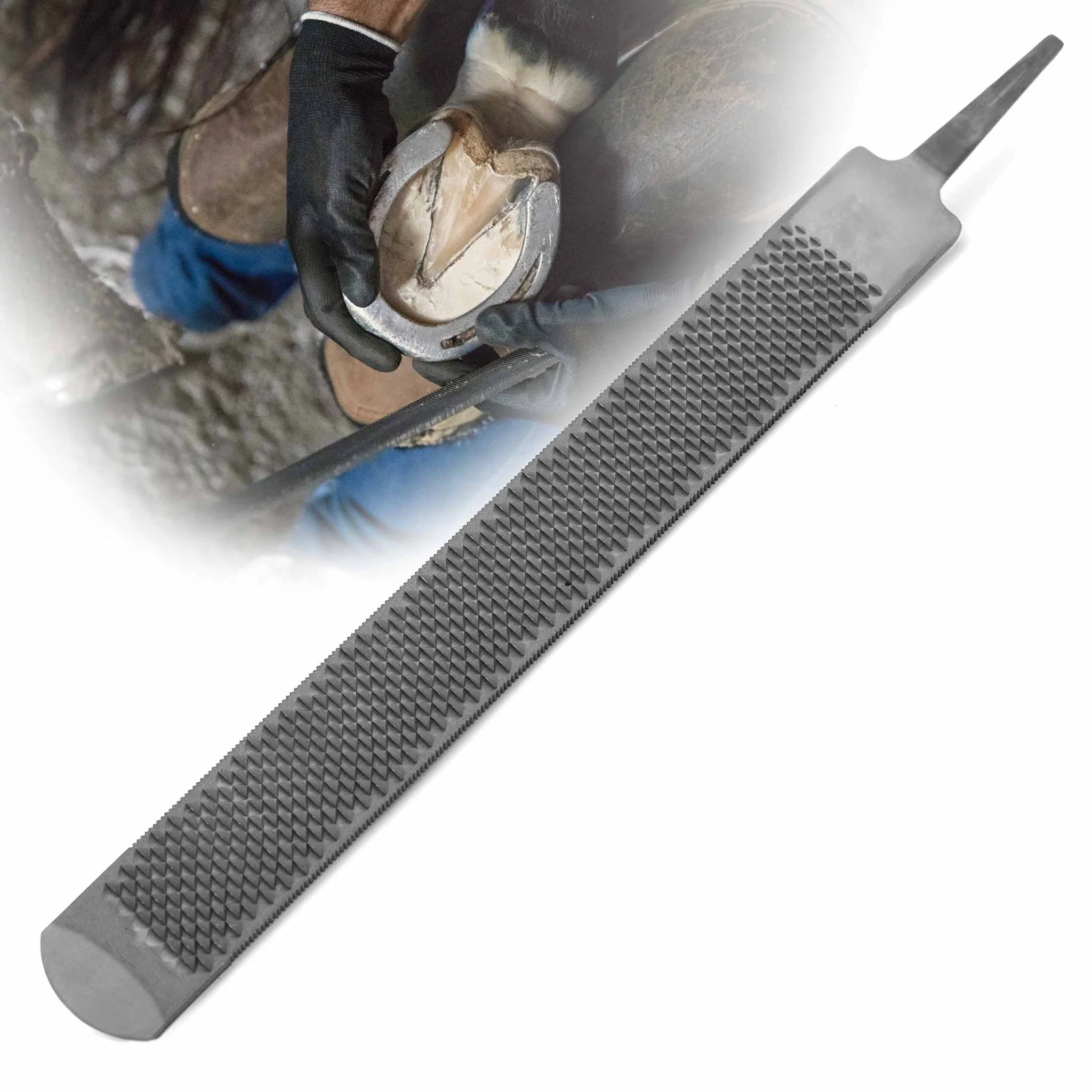 Jeffers Tanged Steel Hoof Rasp – Durable 10" & 14" Rasp for Horses, Ponies, Minis, Goats, and Sheep - Image 5
